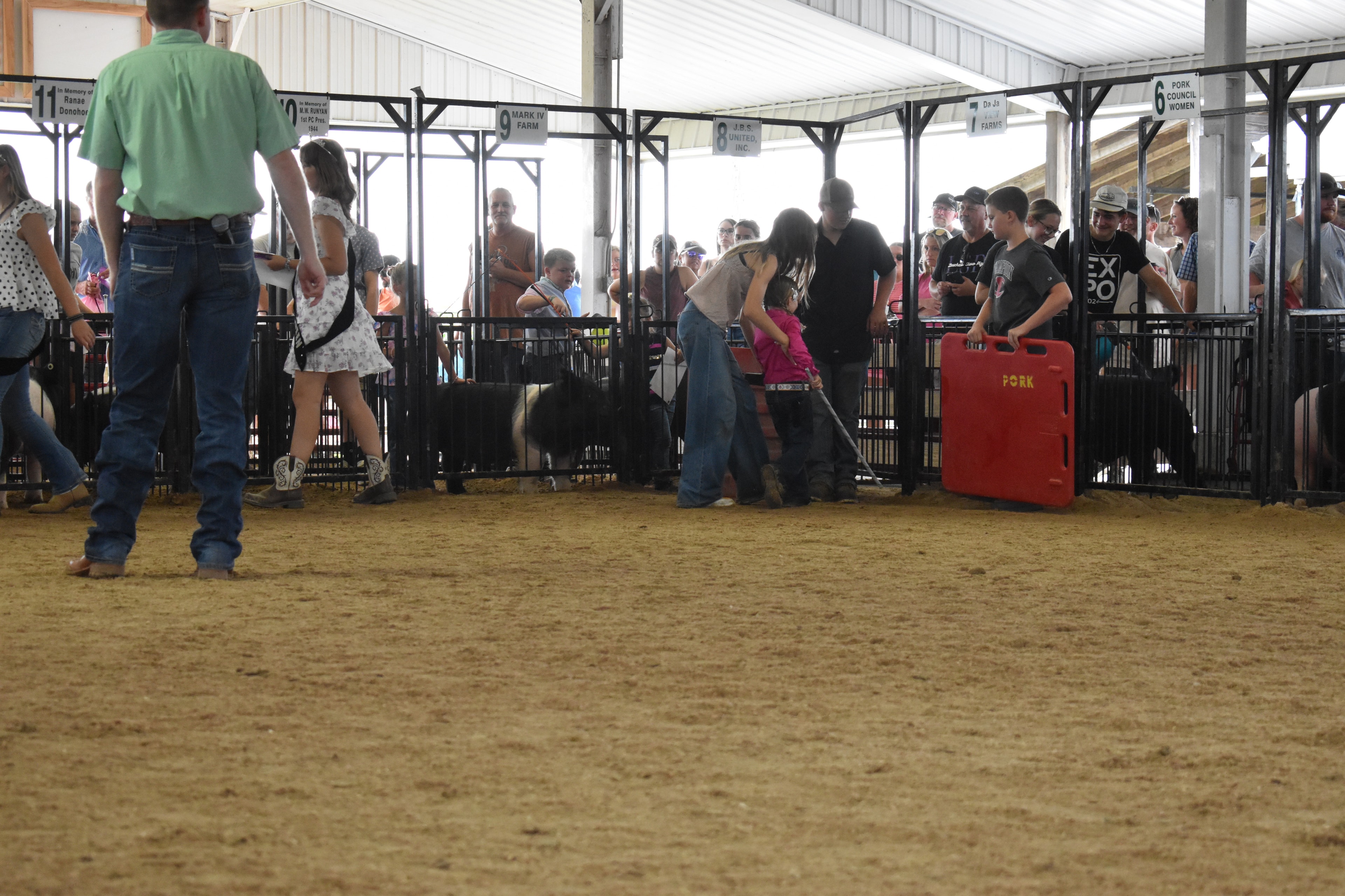 Young girl in butterfly shirt smiling broadly while steering spotted pink pig with judge and multiple exhibitors in background at Champaign County Fair