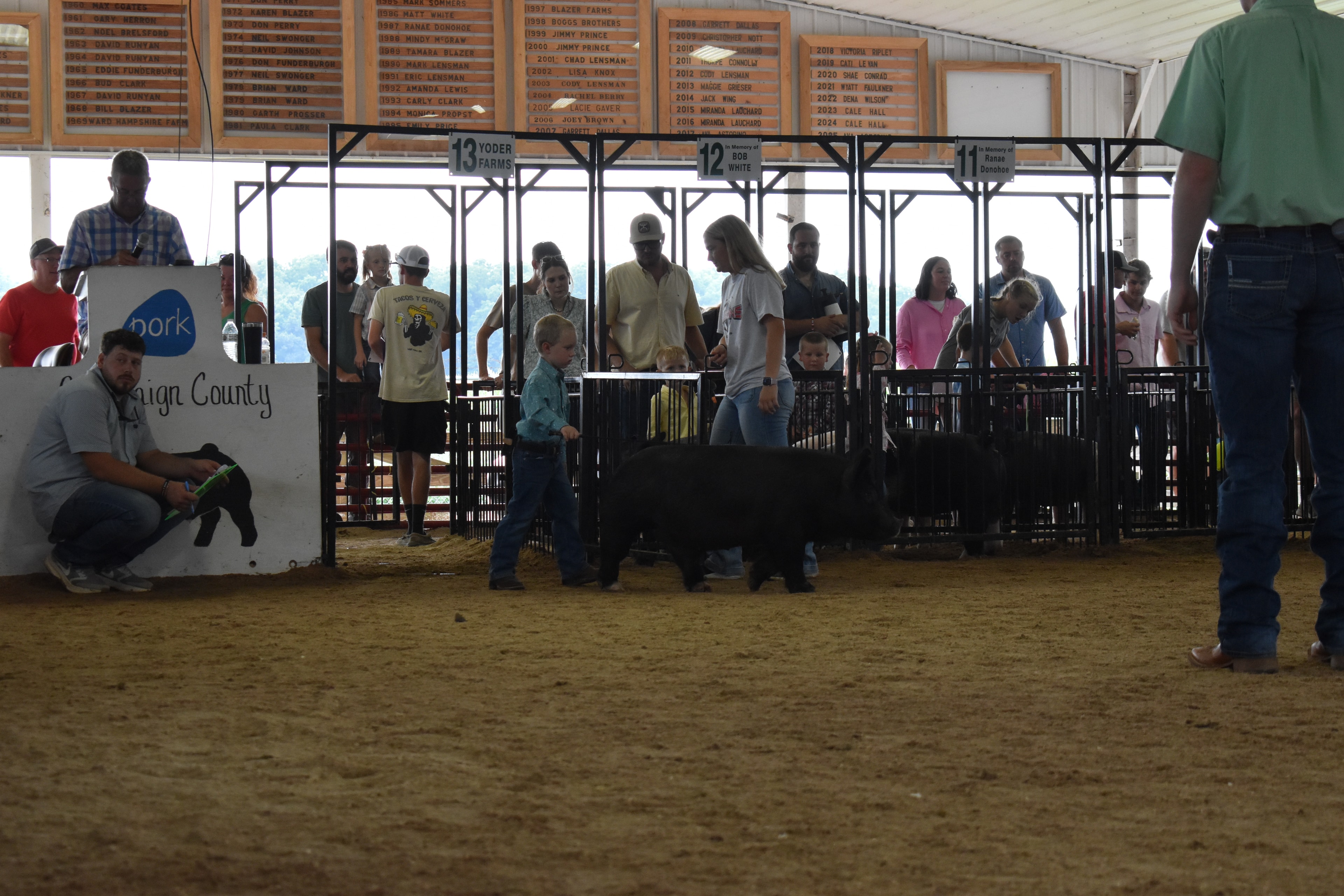 Two young boys in teal and yellow shirts steering two black pigs side by side toward camera with packed sponsor pens 3–10 behind at Champaign County Fair