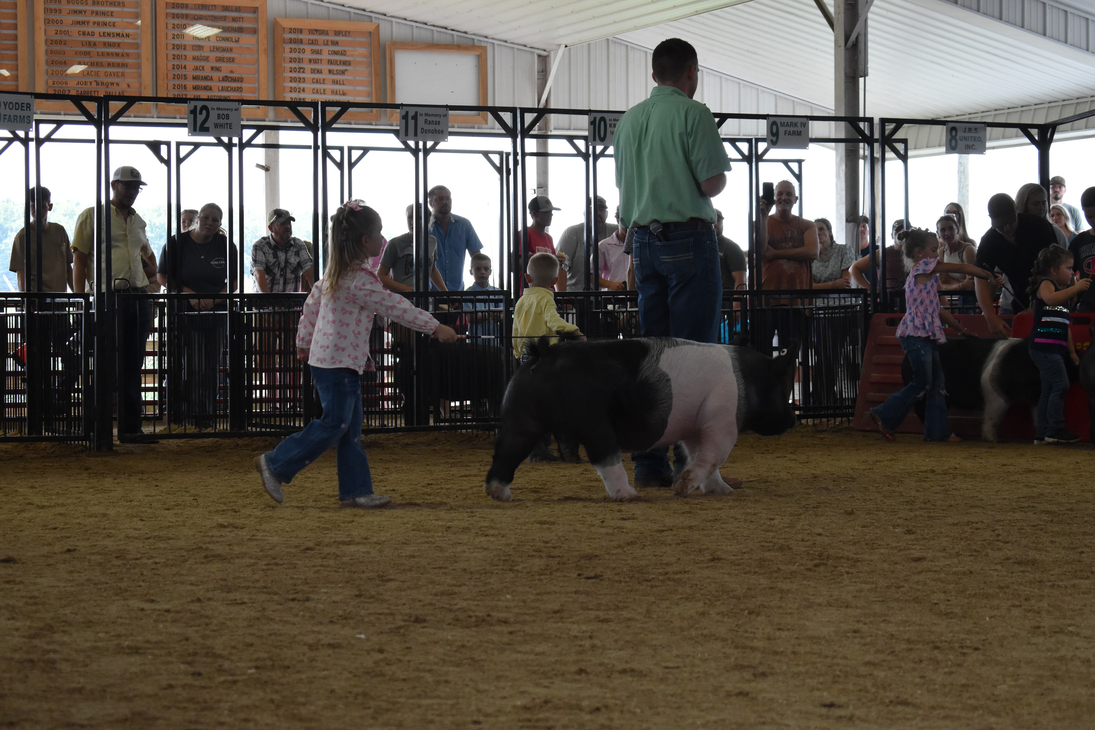 Boy in yellow shirt and girl in blue-yellow top steering large black Hampshire cross pig head-on toward camera with packed sponsor pens 9–12 and past champions boards behind at Champaign County Fair