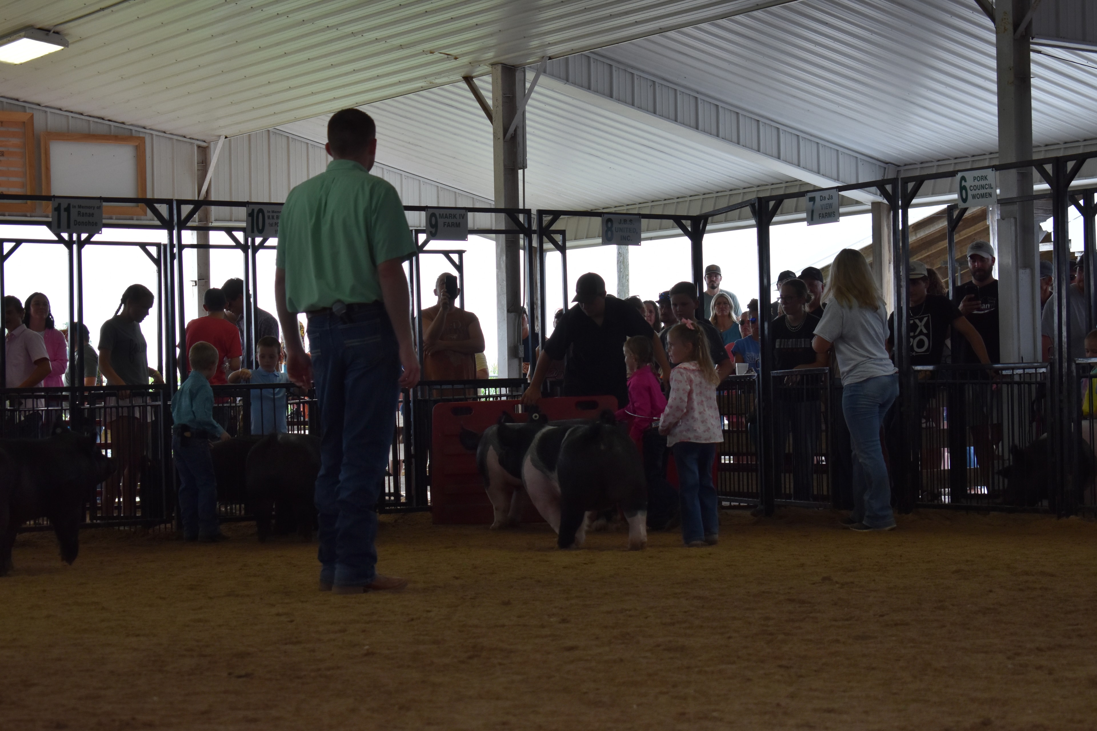 Boy in yellow shirt and girl in blue-yellow top steering large black Hampshire cross pig with packed sponsor pens 6–10 and Pork Council Women sign behind at Champaign County Fair