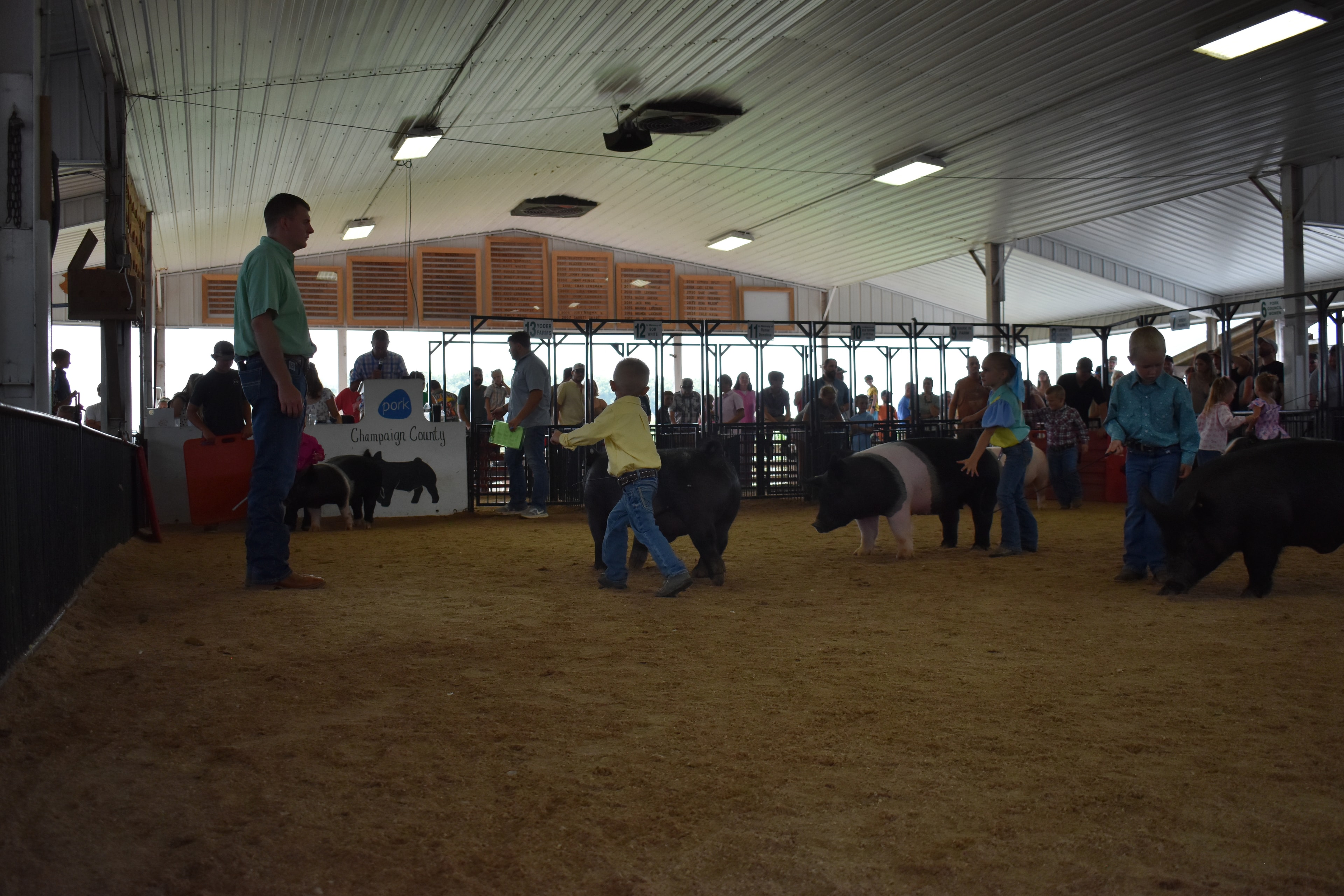 Wide arena shot with judge in green shirt watching girl in pink floral top and two small children steer spotted pig near the Pork Council Women and Do Ja Farm sponsor pens 6–11 at Champaign County Fair