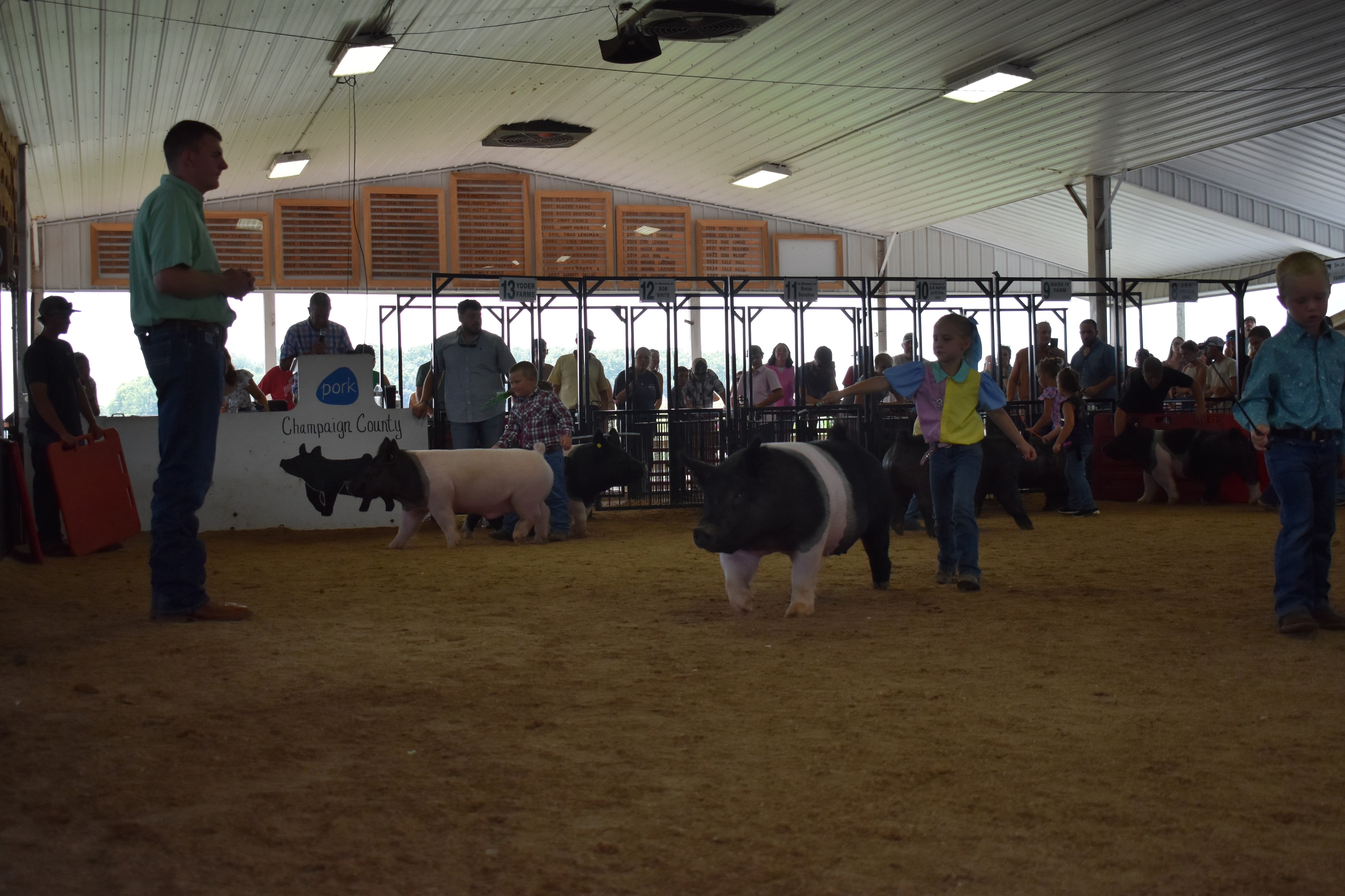 Girl in blue-yellow-pink show shirt steering large Hampshire cross pig with small boy in teal shirt behind her and packed sponsor pens 10–13 and past champions boards behind at Champaign County Fair