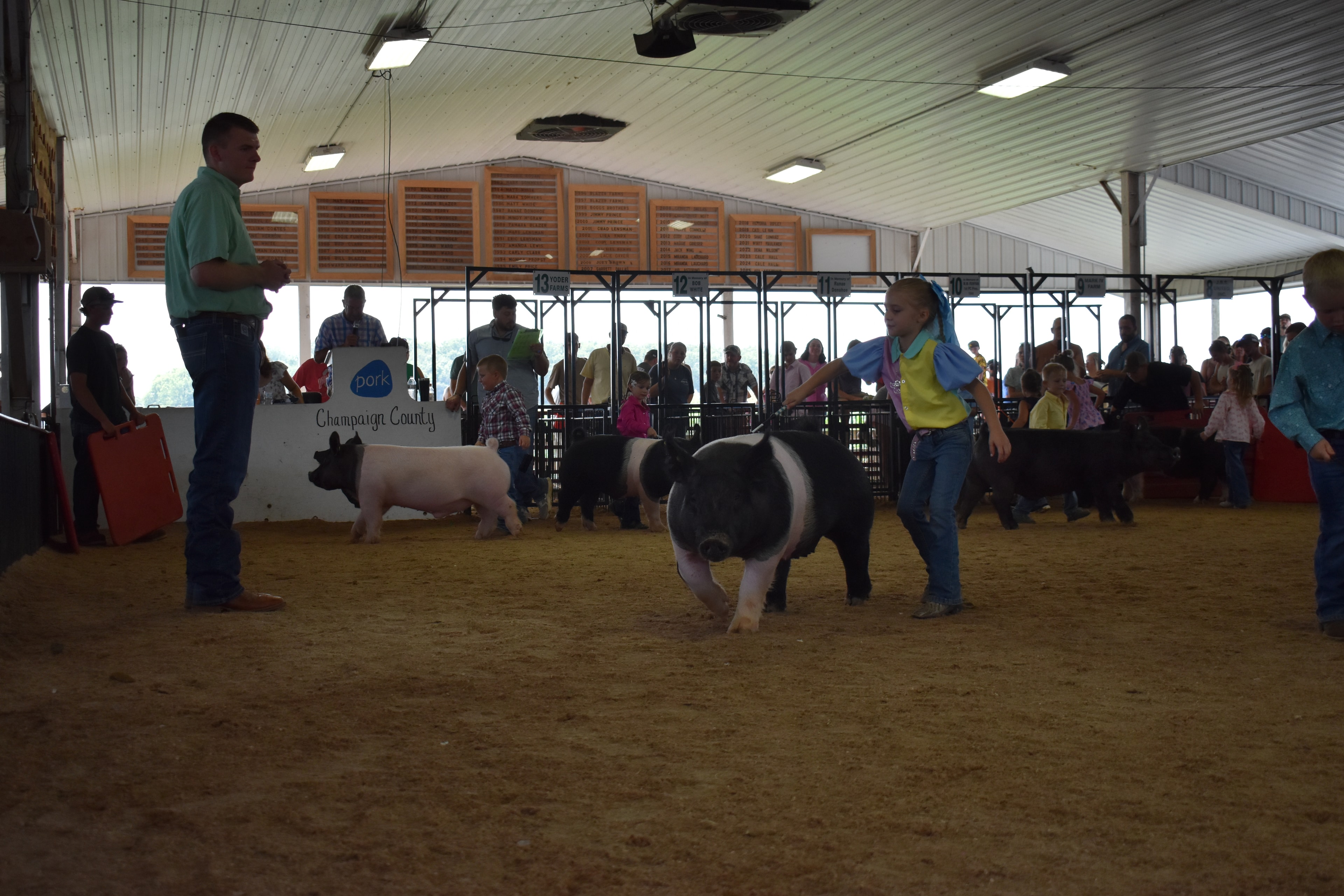 Girl in blue-yellow-pink show shirt steering Hampshire cross pig sideways past judge in green shirt with Blazer Farms and Champaign County Pork sign visible and packed crowd behind