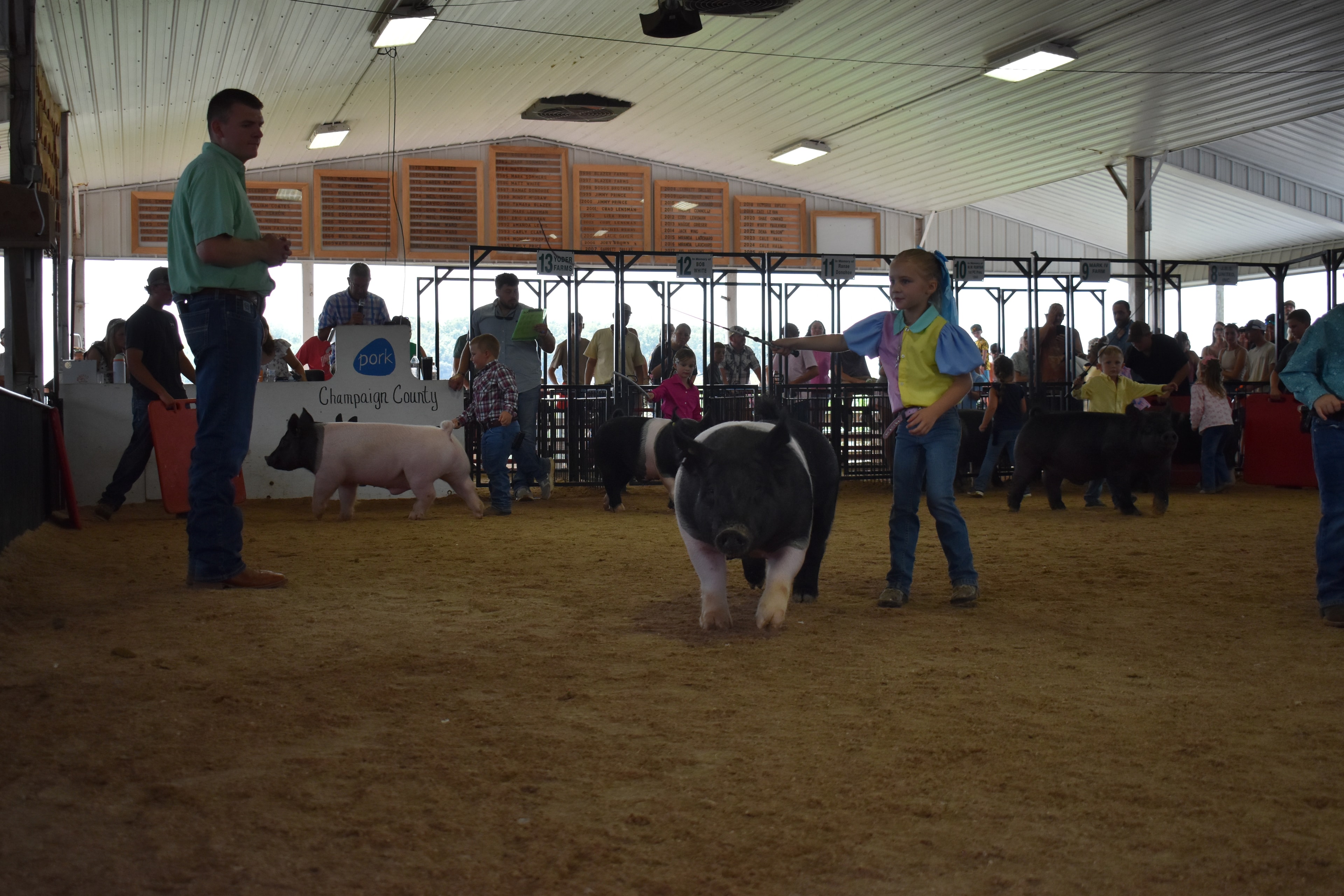 Small red-haired boy in plaid shirt steering large pink Yorkshire pig sideways across the arena with packed sponsor pens and crowd behind at Champaign County Fair