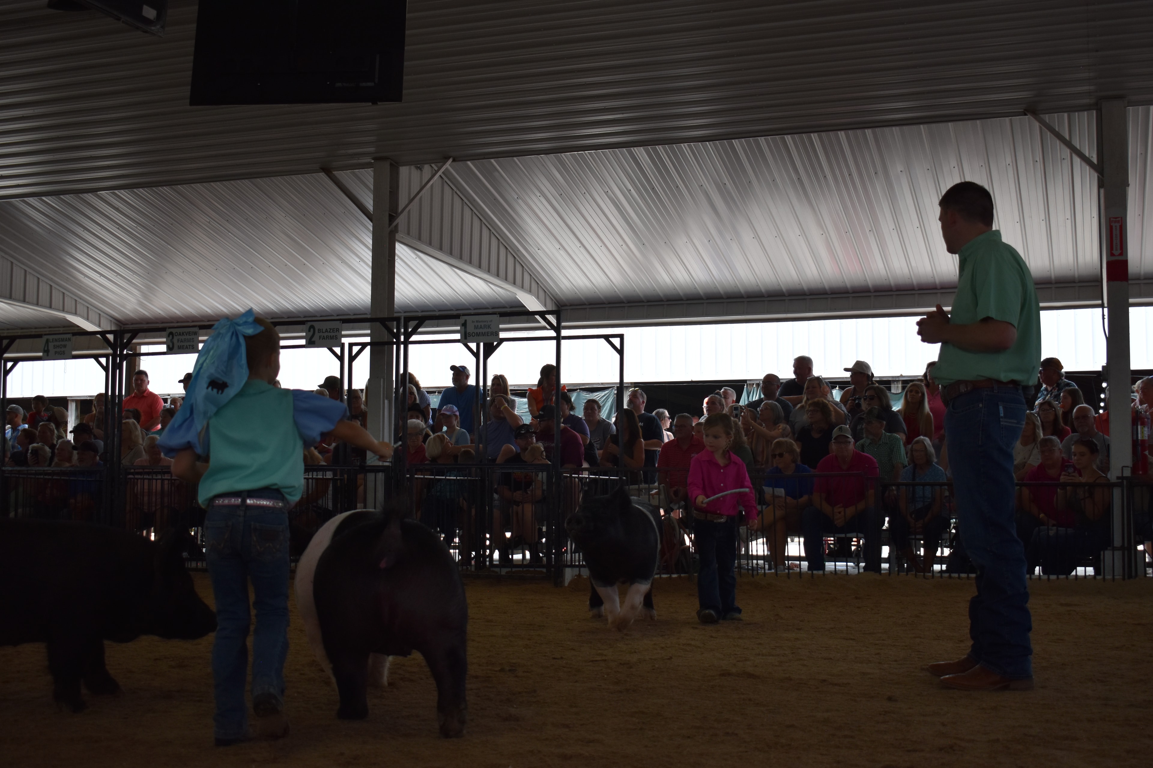Three young children including girl in blue-pink-yellow show shirt steering three Hampshire cross pigs with Mark IV Farm, JBS United, Do Ja Farms, and Pork Council Women sponsor pens 6–11 and packed crowd behind at Champaign County Fair