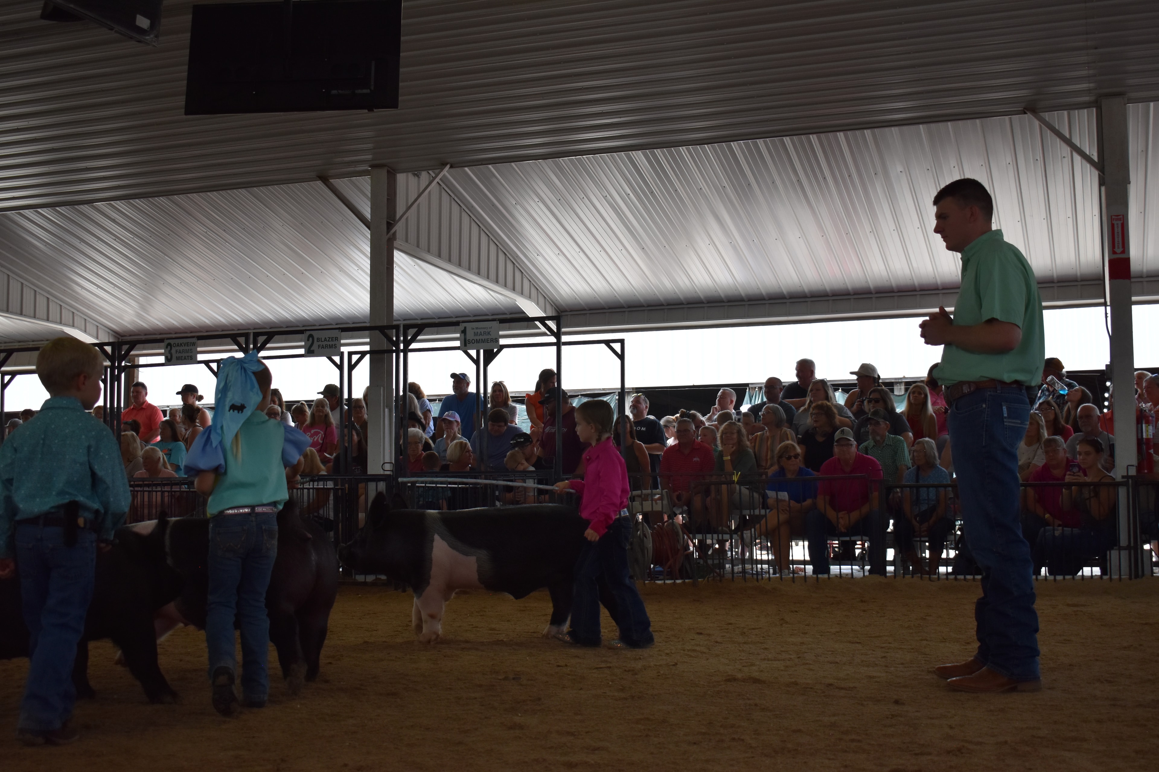 Girl in blue-pink-yellow show shirt and boy in teal shirt steering large Hampshire cross pig head-on toward camera with red PORK board and packed crowd behind at Champaign County Fair