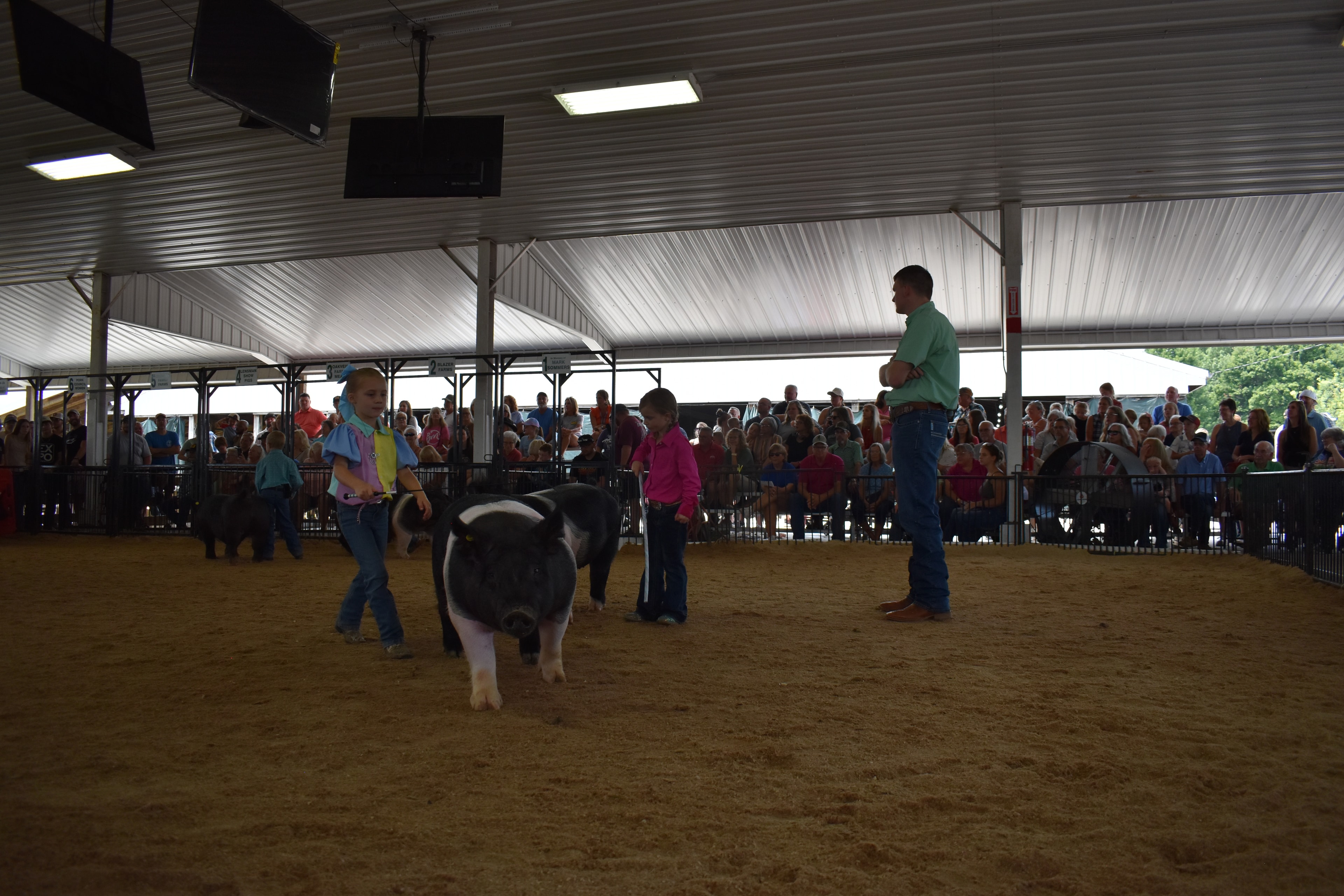 Girl in blue-pink-yellow show shirt steering large Hampshire cross pig with Do Ja Farms, Pork Council Women, Family Farms sponsor pens 5–8 and packed crowd behind at Champaign County Fair