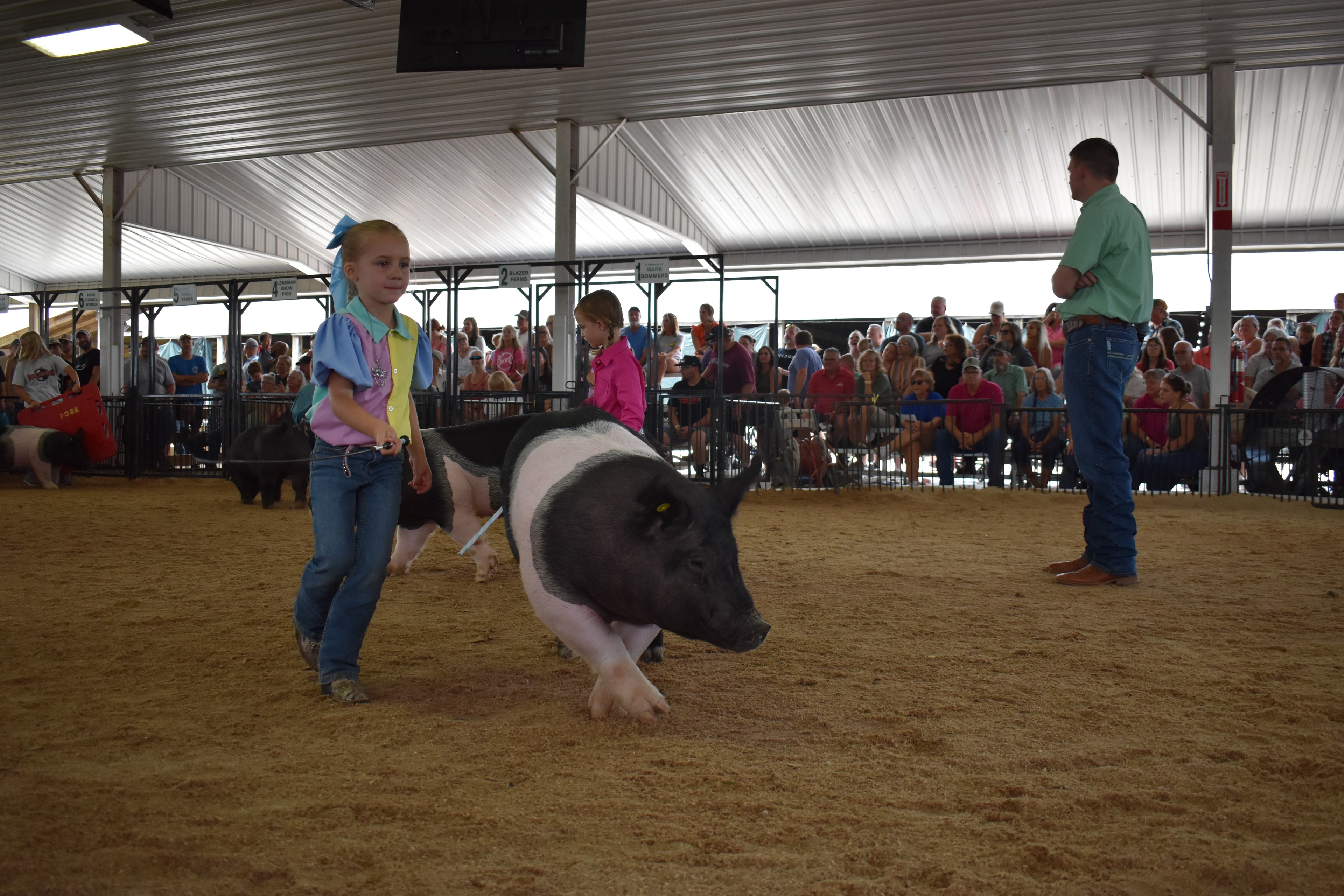 Girl in blue-pink-yellow show shirt steering large Hampshire cross pig close-up with Lensman Show Pigs, Oakview Farms Meats sponsor pens 3–4 and packed crowd behind at Champaign County Fair