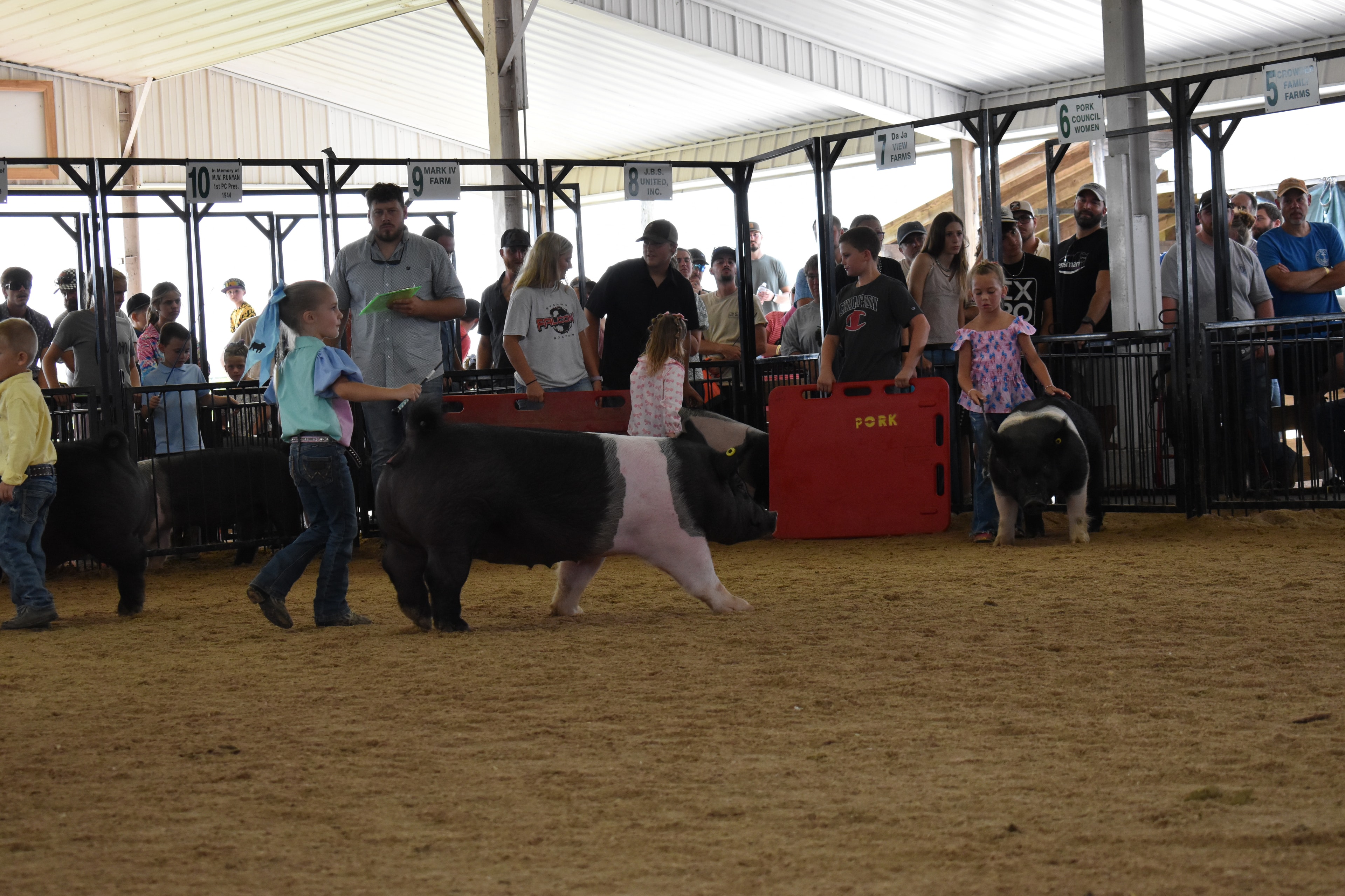 Judge in green shirt standing with back to camera watching small boy in plaid shirt steer Hampshire cross pig past the Champaign County Pork sign with Pork Queen and packed crowd in sponsor pens 10–12 behind