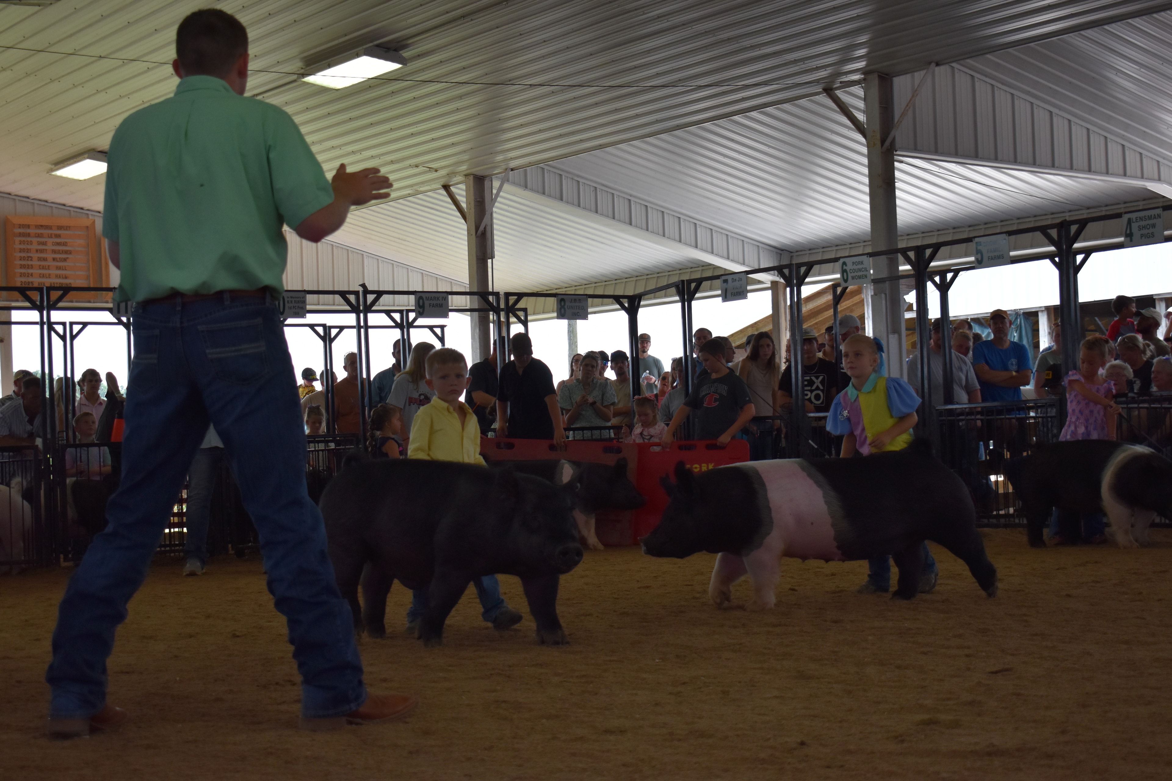 Judge in green shirt standing with back to camera watching small boy in plaid shirt and girl in pink shirt steer Hampshire cross pigs past the Champaign County Pork sign with Pork Queen and packed crowd behind