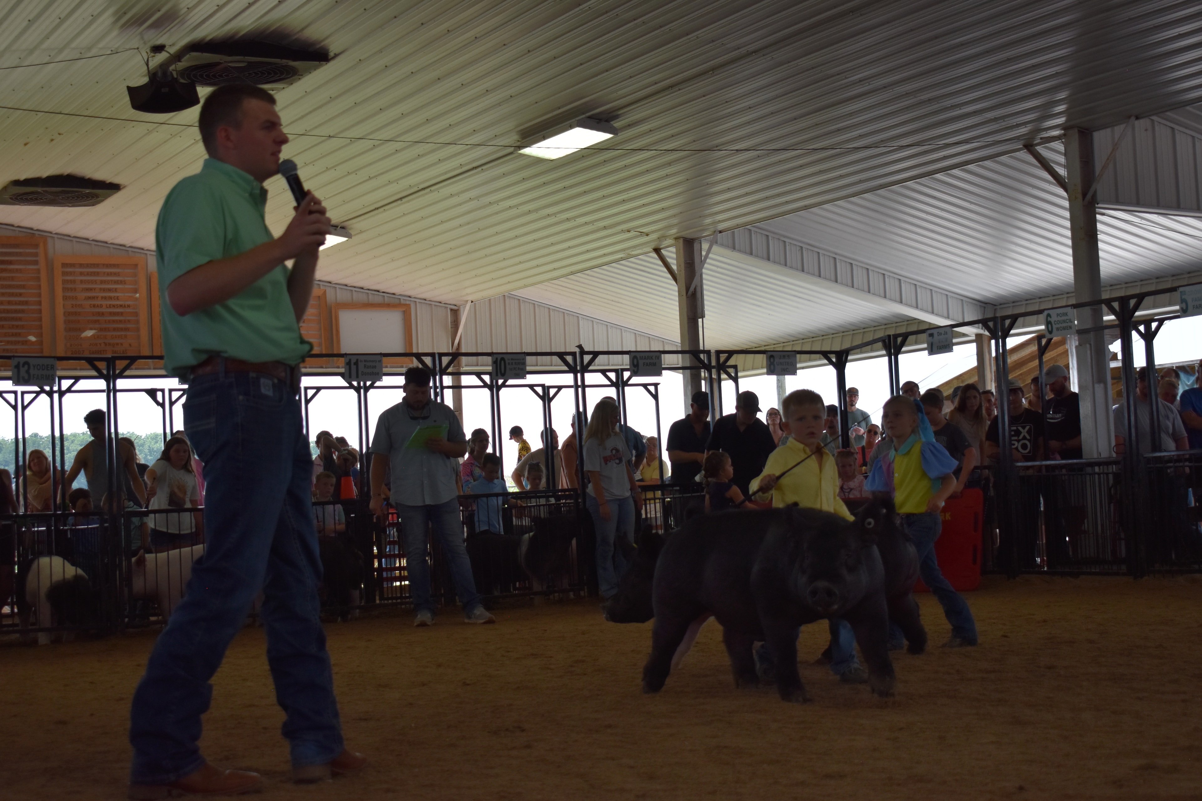 Judge in green shirt standing with back to camera watching small boy in plaid shirt steer Hampshire cross pig past the Champaign County Pork sign with Pork Queen and packed crowd in sponsor pens 11–13 behind