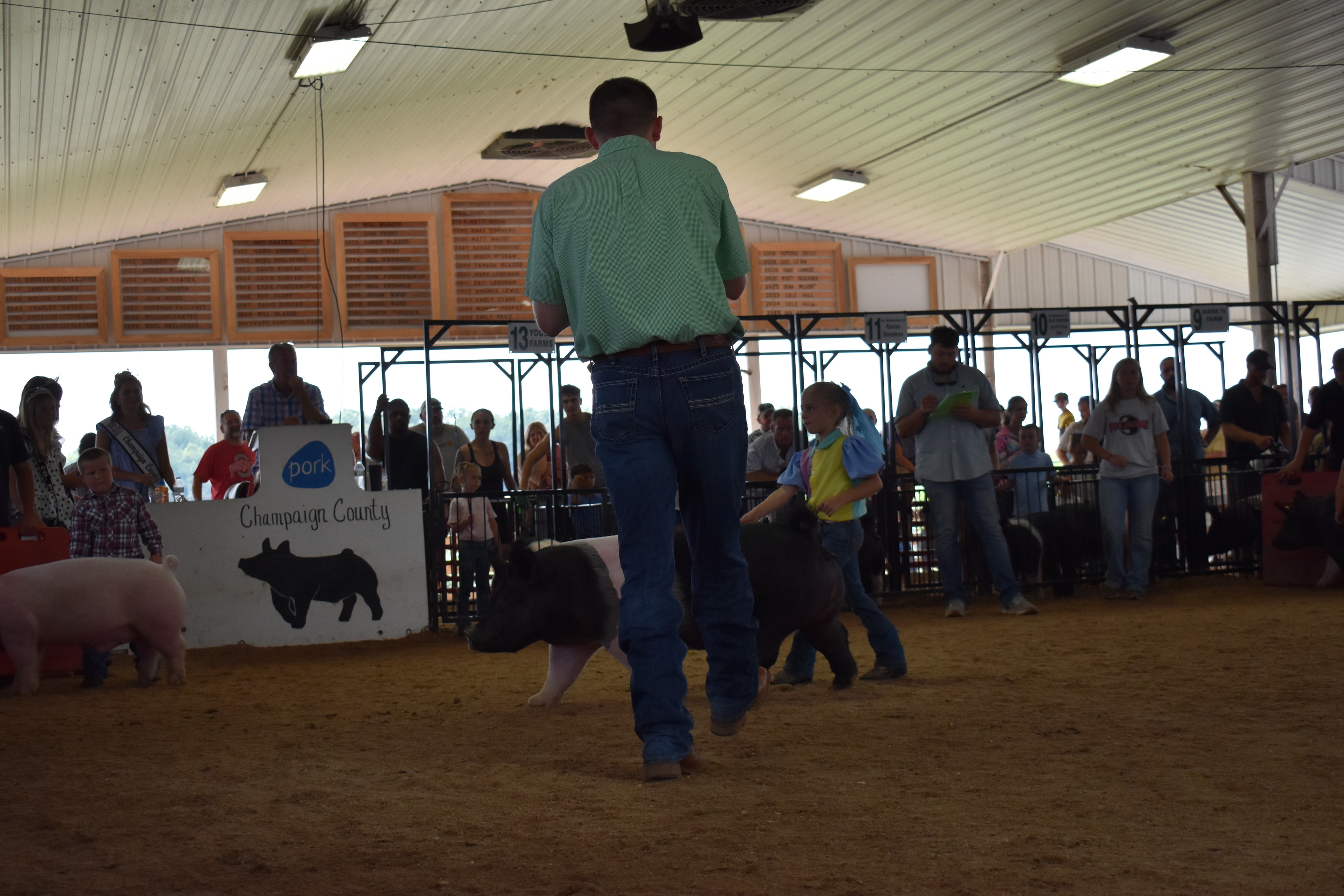 Judge in green shirt standing with back to camera watching small boy in plaid shirt and girl in yellow vest steer Hampshire cross pig past the Champaign County Pork sign with Pork Queen and packed crowd behind
