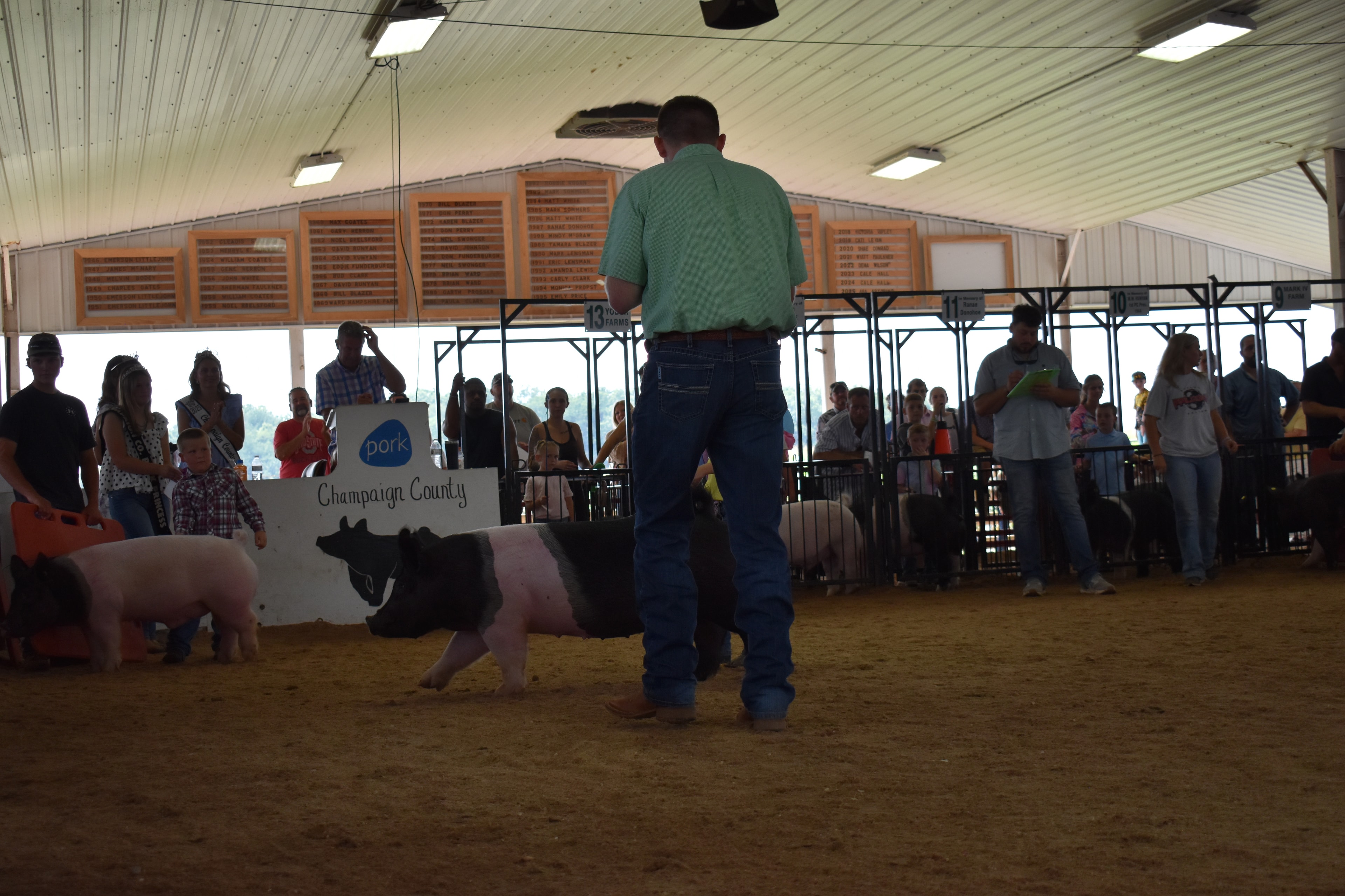 Wide arena shot from sponsor pen side with judge in green shirt holding microphone watching girl in teal shirt and woman in white shirt steer two Hampshire cross pigs with Lensman Show Pigs, Oakview Farms Meats, Blazer Farms, Mark Sommers sponsor pens 1–6 behind