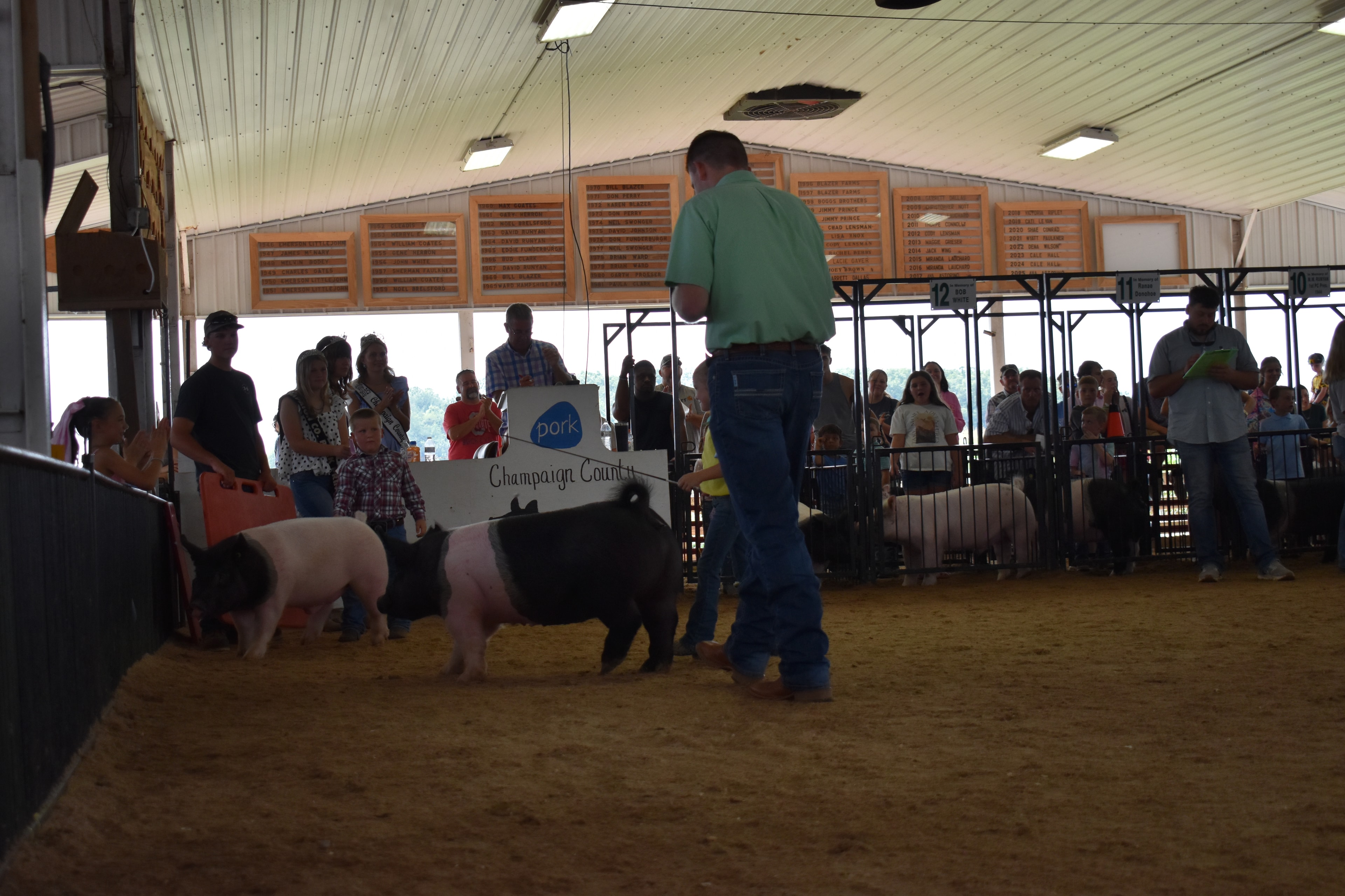 Judge in green shirt gesturing with hands while watching boy in yellow shirt and girl in teal-blue vest steer black Hampshire cross pigs with red PORK board and packed crowd in sponsor pens 4–9 behind at Champaign County Fair