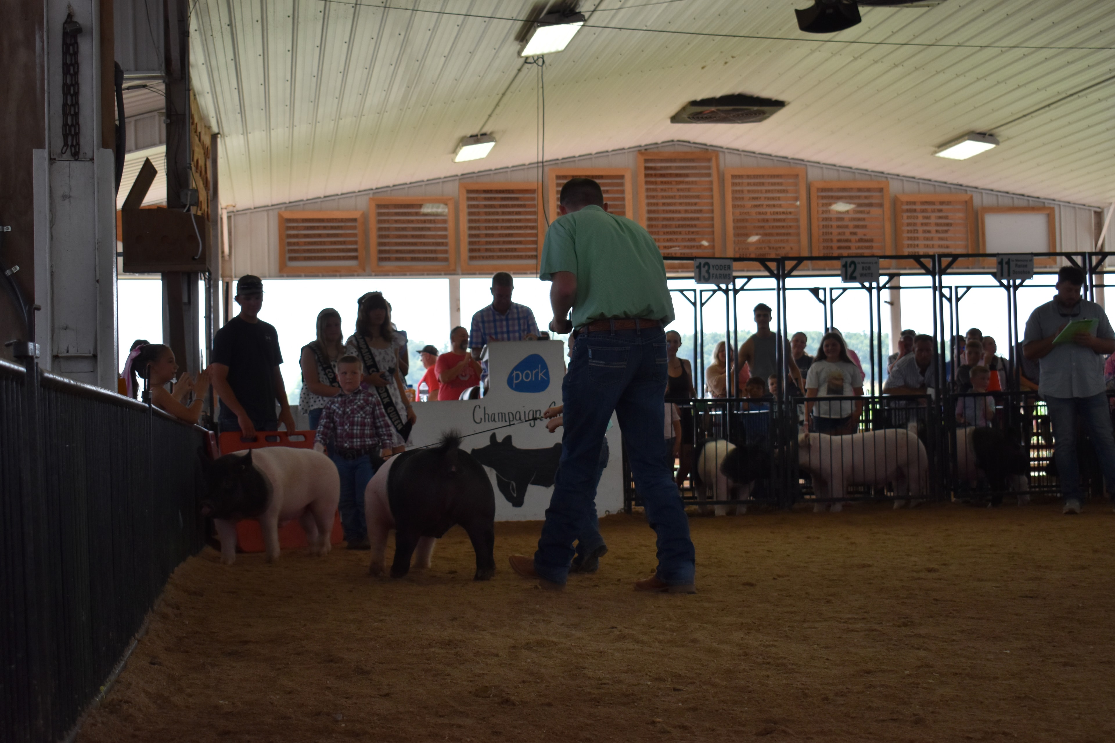 Judge in green shirt holding microphone watching boy in yellow shirt and girl in teal-blue vest wrestle black Hampshire cross pig together with packed crowd in sponsor pens 9–13 behind at Champaign County Fair