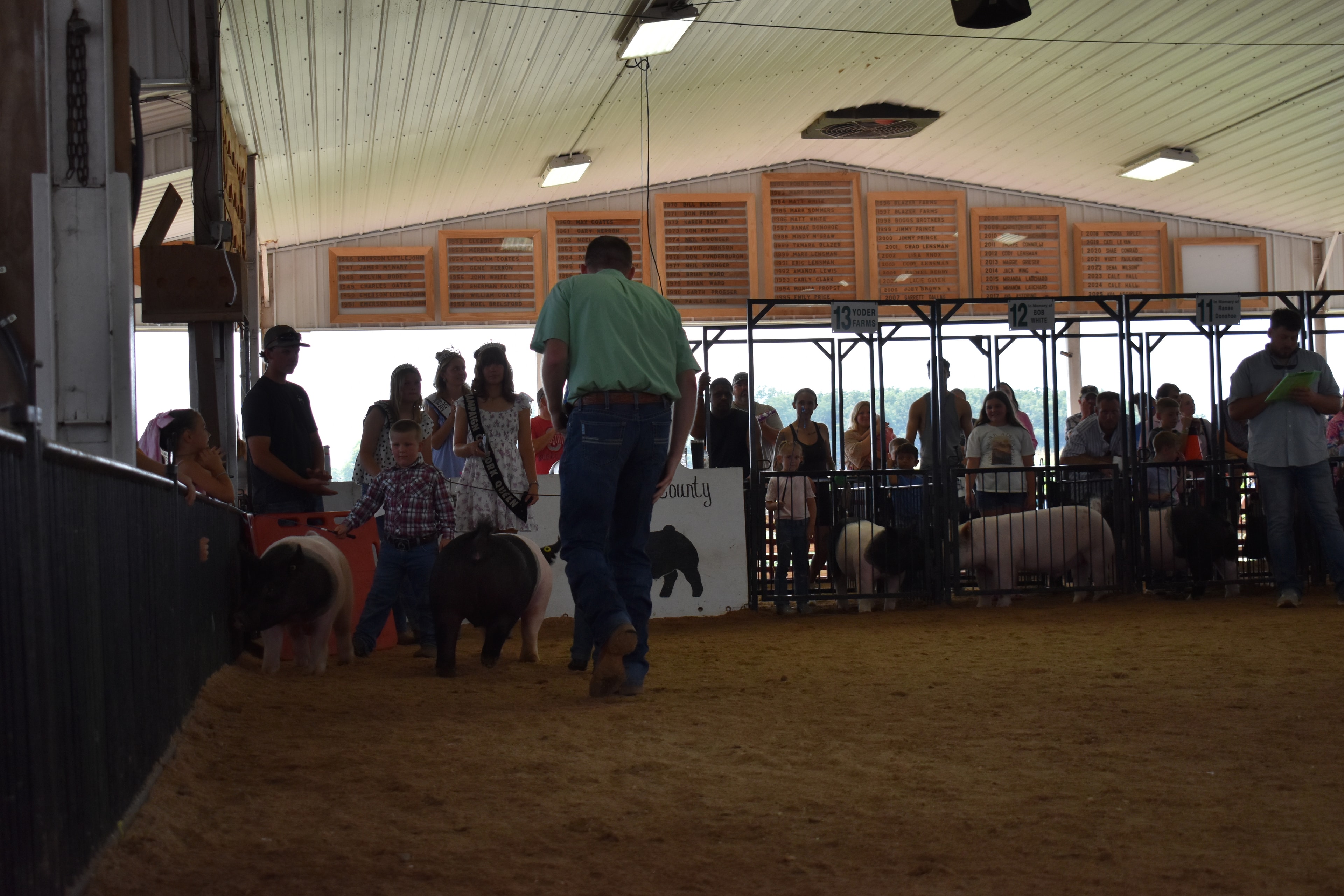 Close-up arena shot with tiny girl in pink shirt steering large fluffy black-and-white Hampshire cross pig past the Champaign County Pork sign with judge in green shirt and packed crowd in Yoder Farms pens 11–13 behind