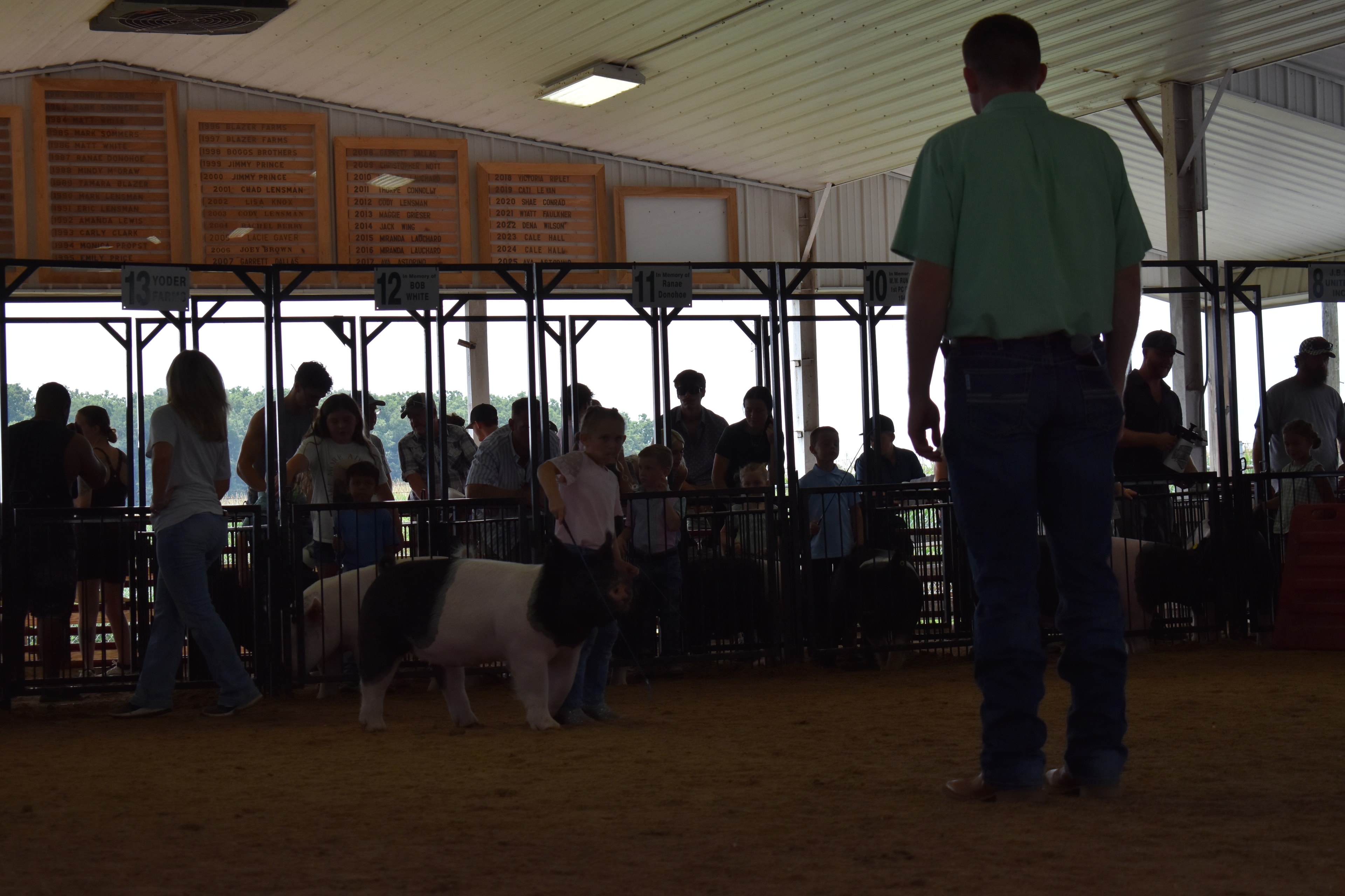 Boy in pink-blue striped shirt steering large black-and-white Hampshire cross pig head-on toward camera with small boy in blue shirt alongside and packed crowd in Do Ja Farms and Pork Council Women sponsor pens 6–8 behind at Champaign County Fair