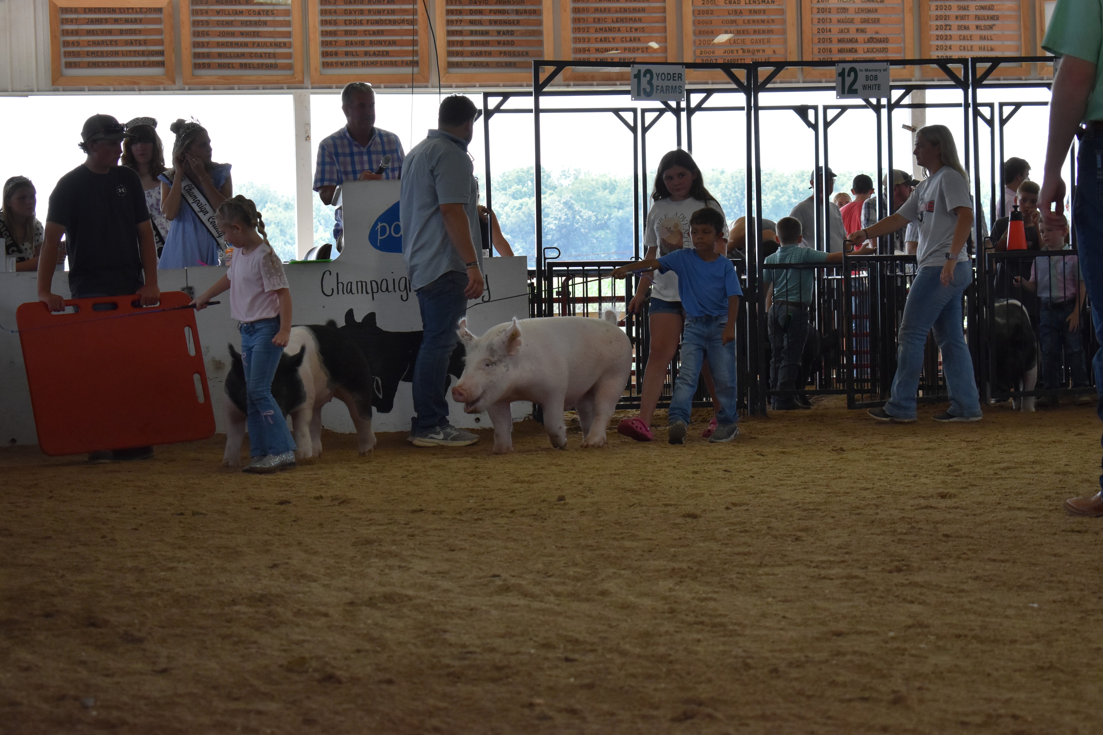 Boy in pink-blue striped shirt steering large black-and-white Hampshire cross pig with red PORK board and Lensman Show Pigs and Oakview Farms Meats sponsor pens 4–5 behind at Champaign County Fair