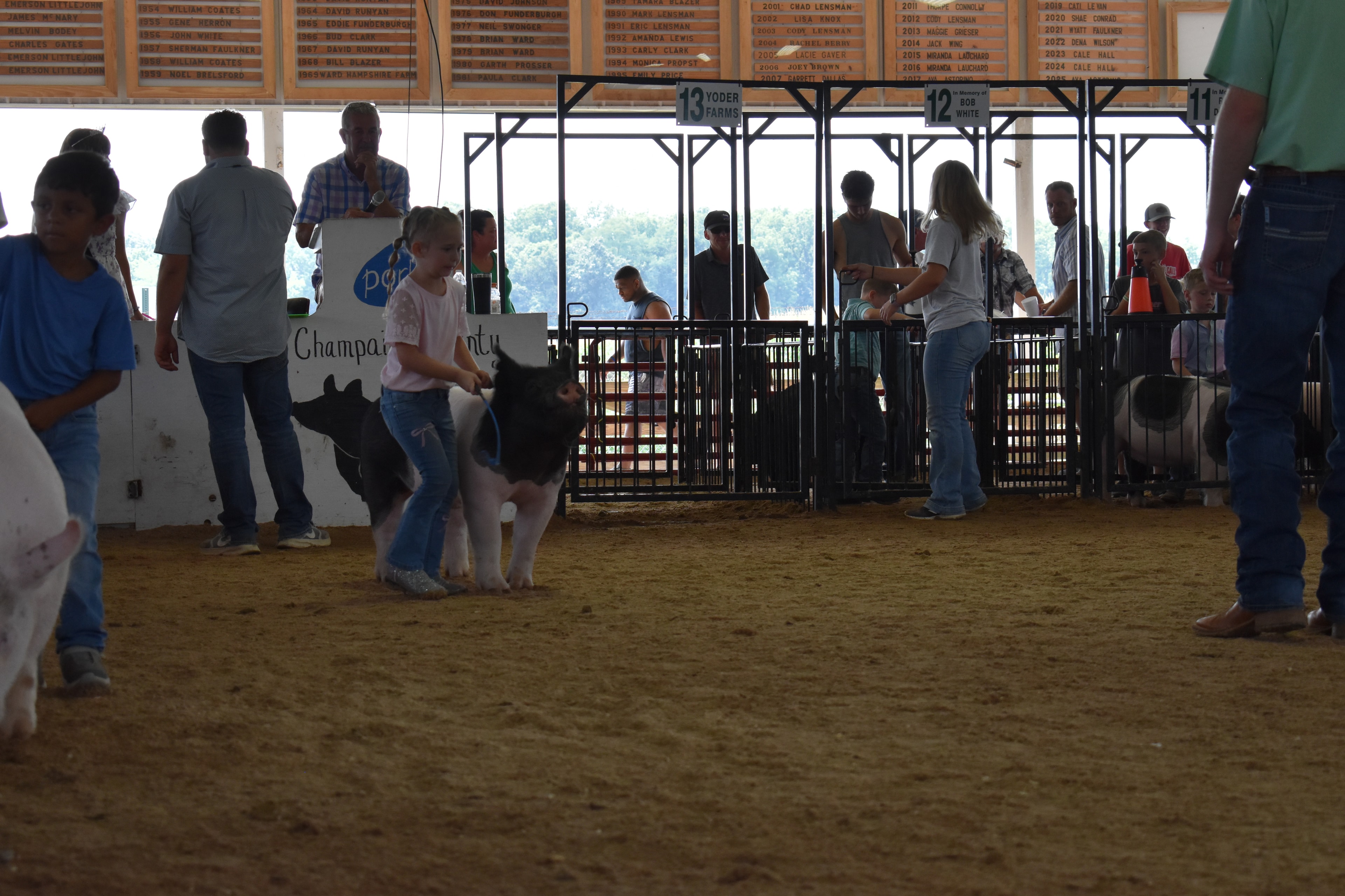 Boy in pink-blue striped shirt steering large black-and-white Hampshire cross pig sideways with packed crowd in sponsor pens 2–10 and past champions boards behind at Champaign County Fair