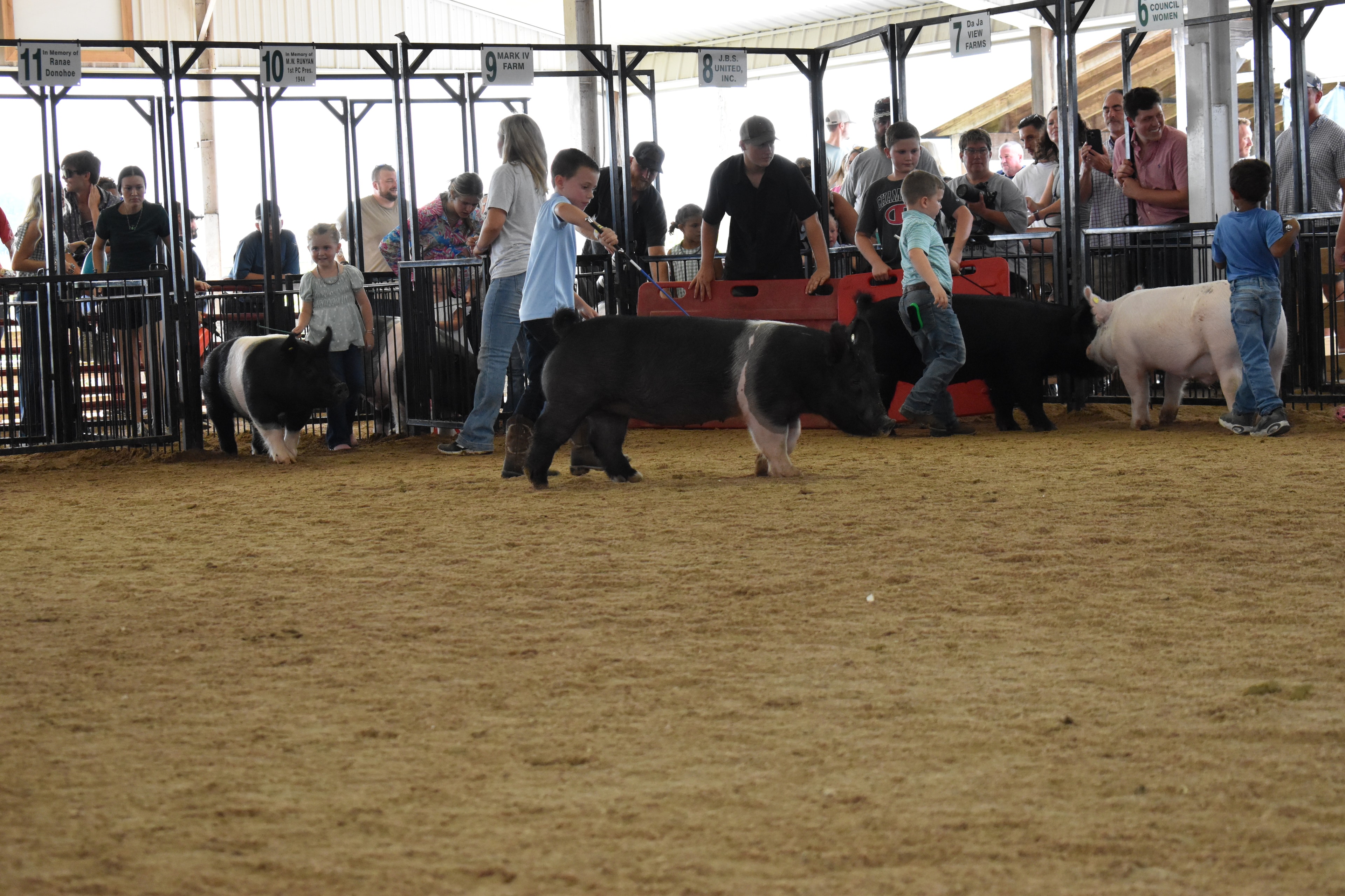 Tiny girl in red-and-white striped bell-bottom pants steering large black-and-white Hampshire cross pig with older girl in floral shirt assisting and packed crowd in Ranae Donohoe, Mark IV Farm, JBS United, Pork Council Women sponsor pens 6–11 behind at Champaign County Fair