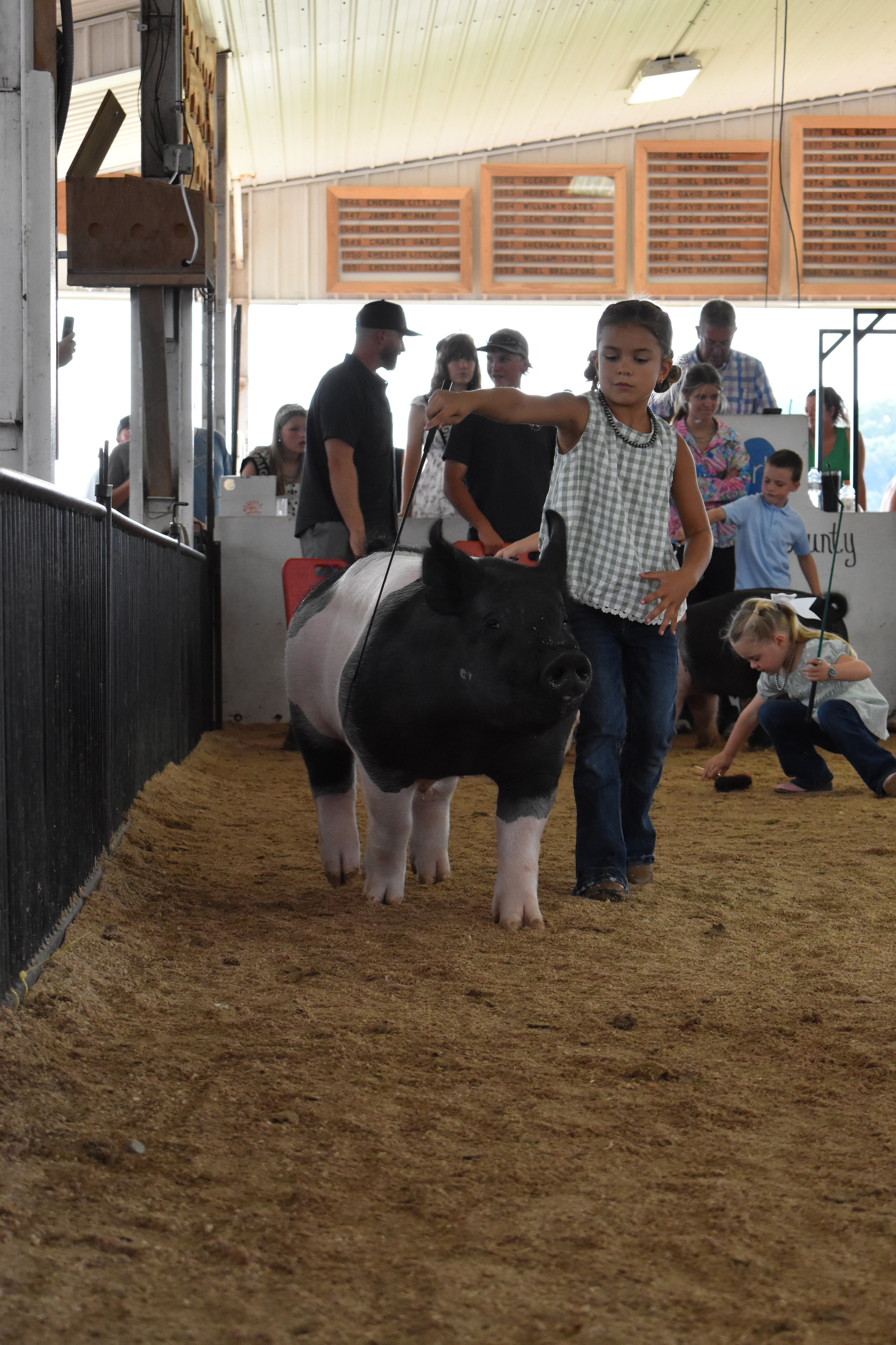 Wide arena shot with tiny toddler in white shirt with red-striped pants steering large black-and-white Hampshire cross pig with older girl in floral shirt assisting and packed crowd in JBS United, Da Ja View Farms, Pork Council Women, Lensman Show Pigs sponsor pens 4–8 behind at Champaign County Fair