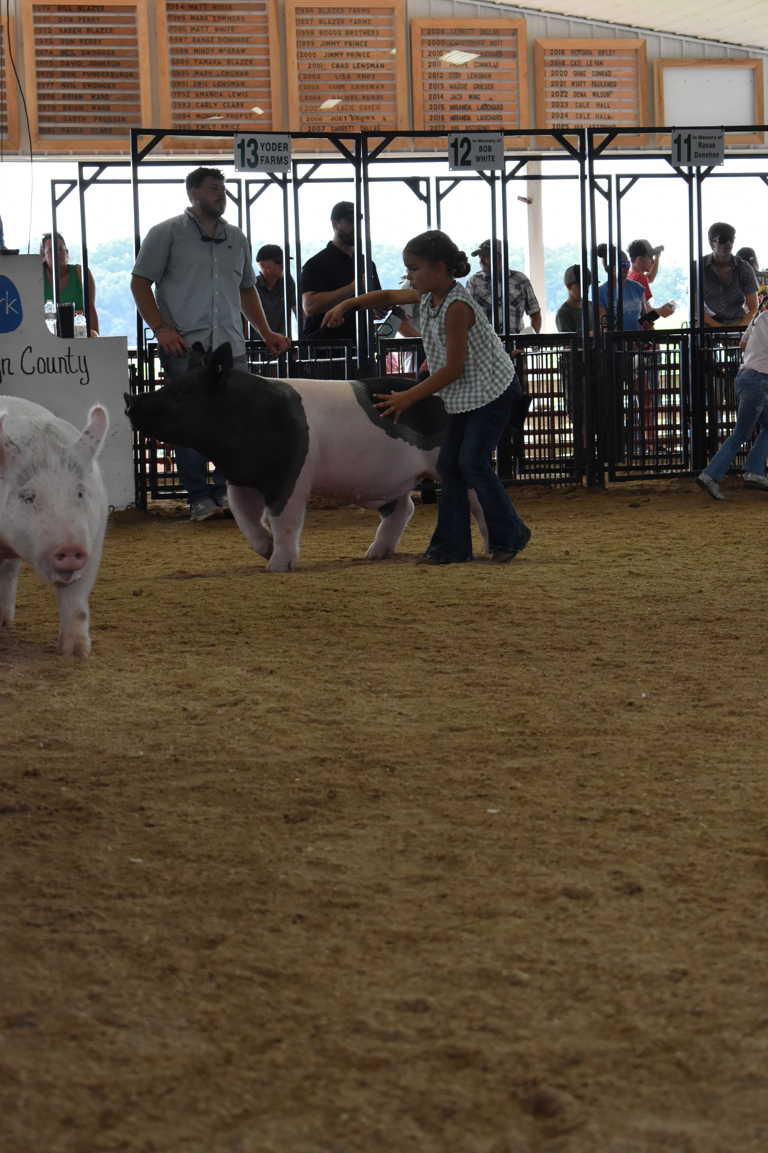 Girl in green gingham top with black beaded necklace smiling while steering large black-and-white Hampshire cross pig head-on toward camera with Champaign County Pork sign and Yoder Farms pens 12–13 and past champions boards behind at Champaign County Fair