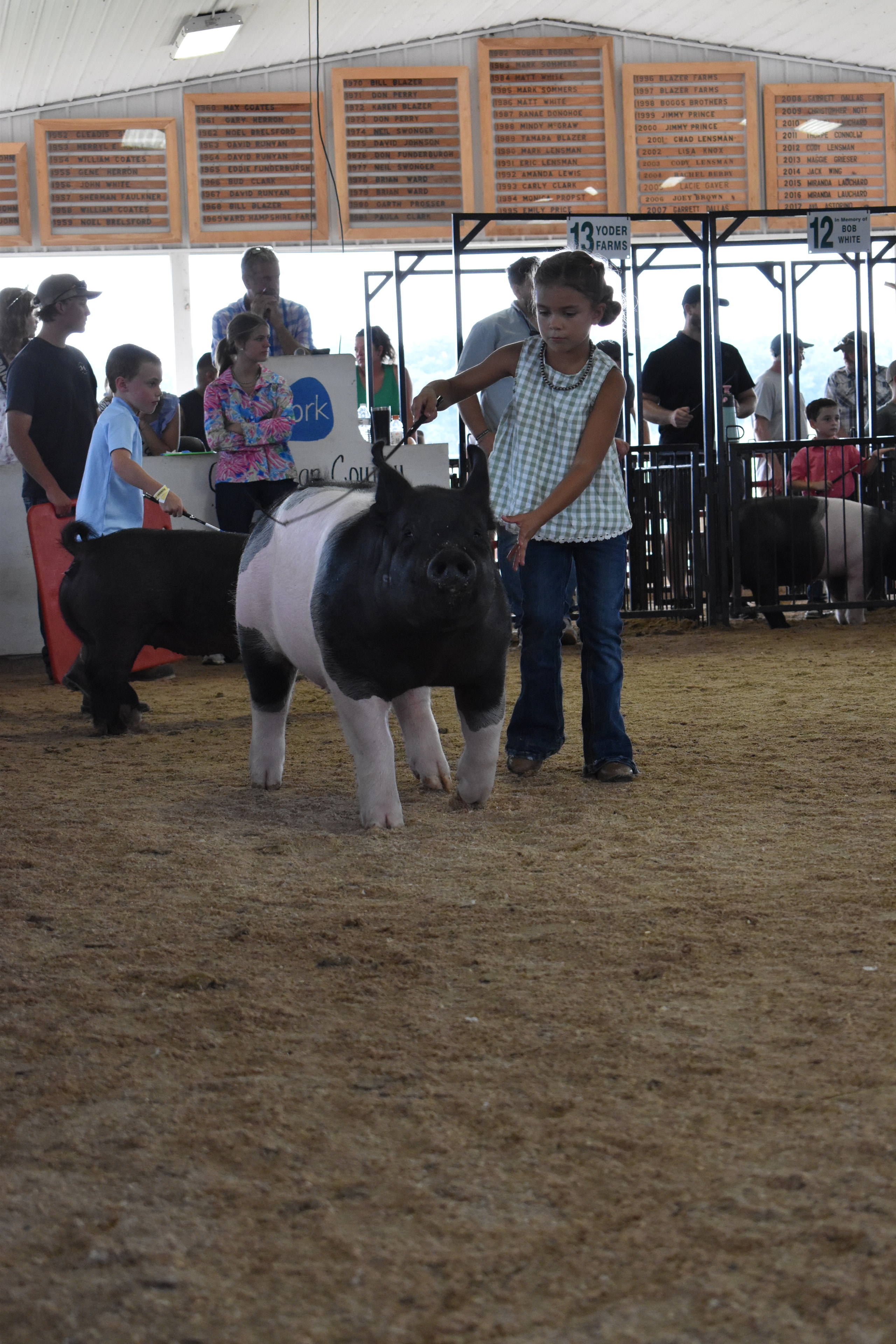 Girl in green gingham top with black beaded necklace steering large black-and-white Hampshire cross pig head-on toward camera with Champaign County Pork sign and Yoder Farms pens 12–13 and past champions boards behind at Champaign County Fair