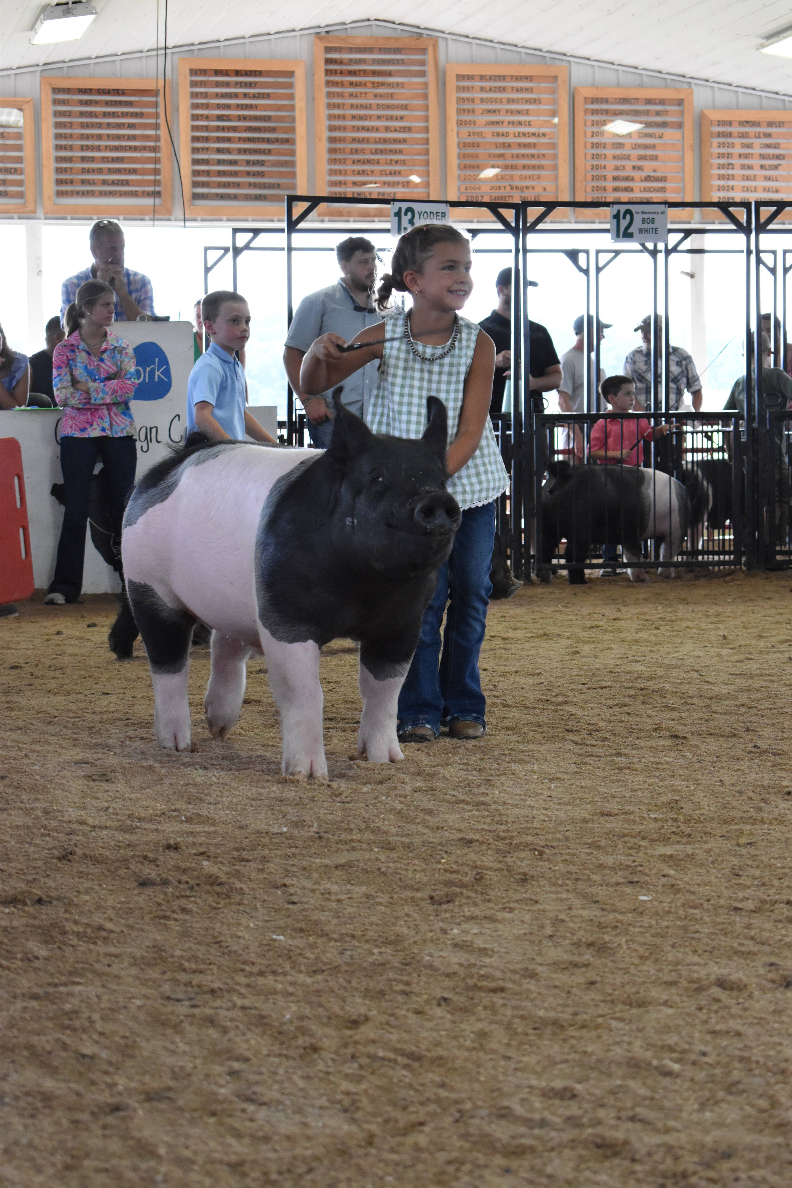 Girl in green gingham top with black beaded necklace steering large black-and-white Hampshire cross pig head-on toward camera with Champaign County Pork sign and Yoder Farms pens 12–13 and past champions boards behind at Champaign County Fair