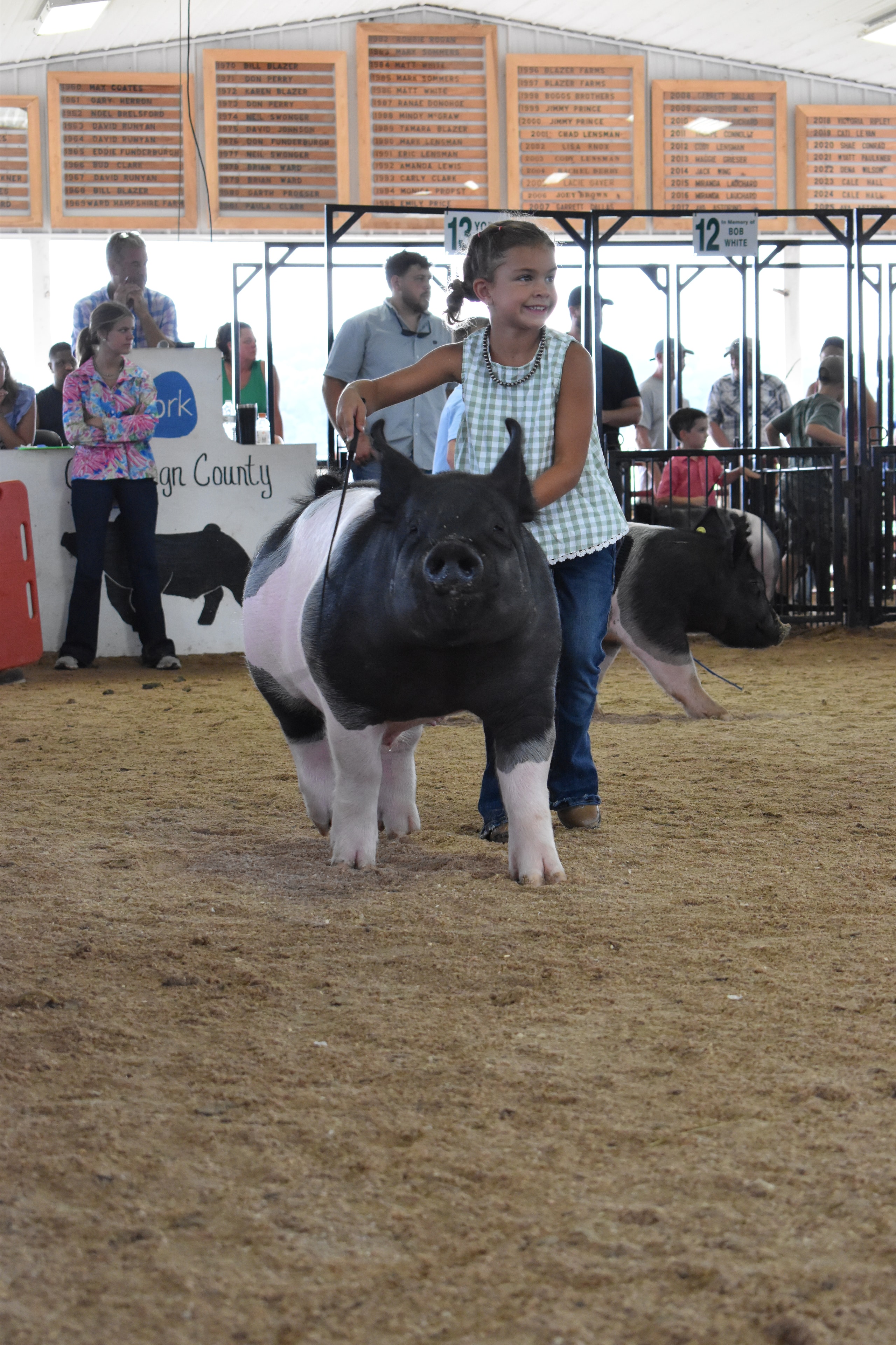 Wide arena shot with multiple exhibitors including girl in green gingham top with black-and-white Hampshire cross pig and girl in blue shirt with large white Yorkshire pig near Yoder Farms pens 11–13 and past champions boards behind at Champaign County Fair