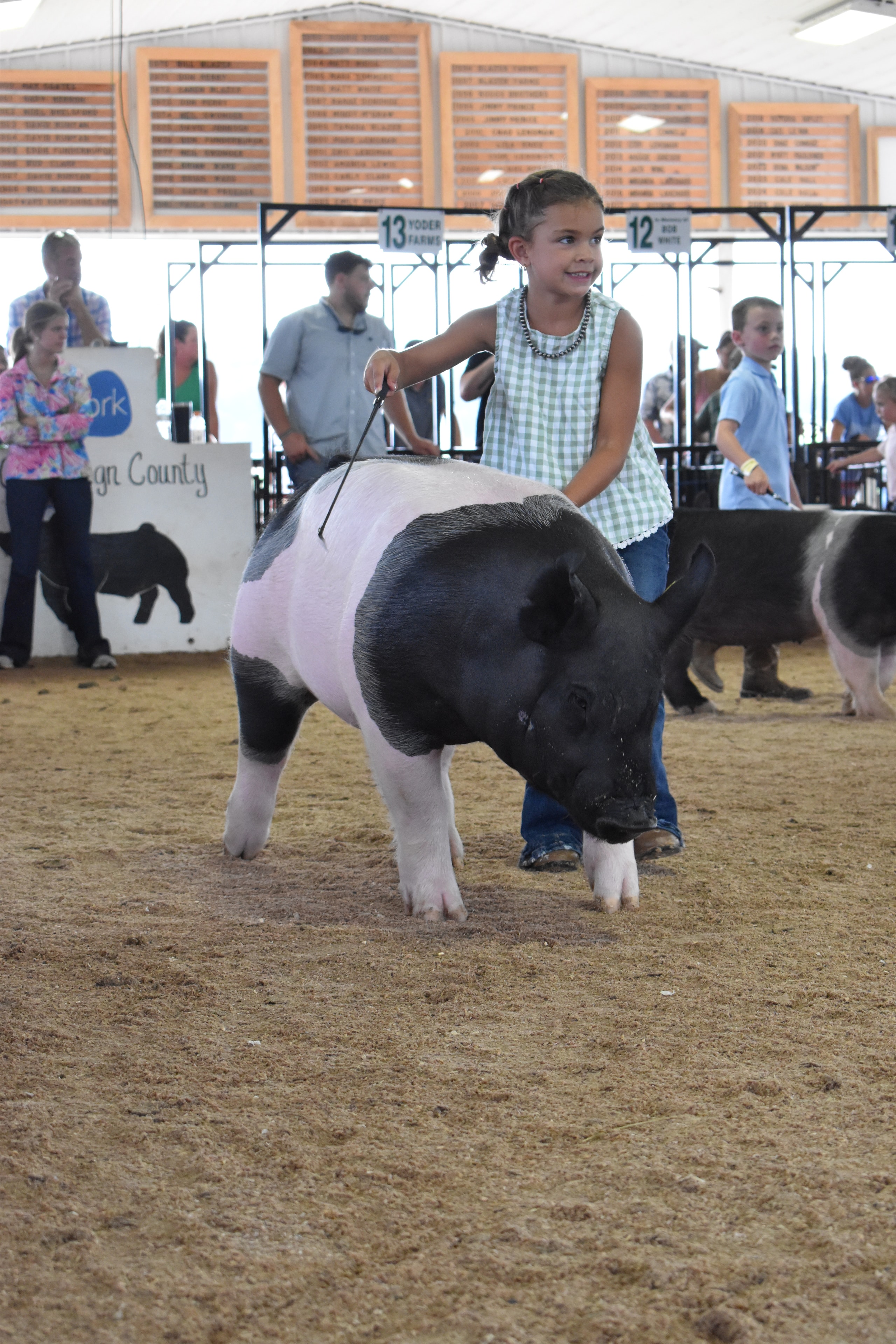 Girl in blue shirt and pink Crocs steering massive white Yorkshire pig from behind with packed crowd in sponsor pens and red PORK board behind at Champaign County Fair