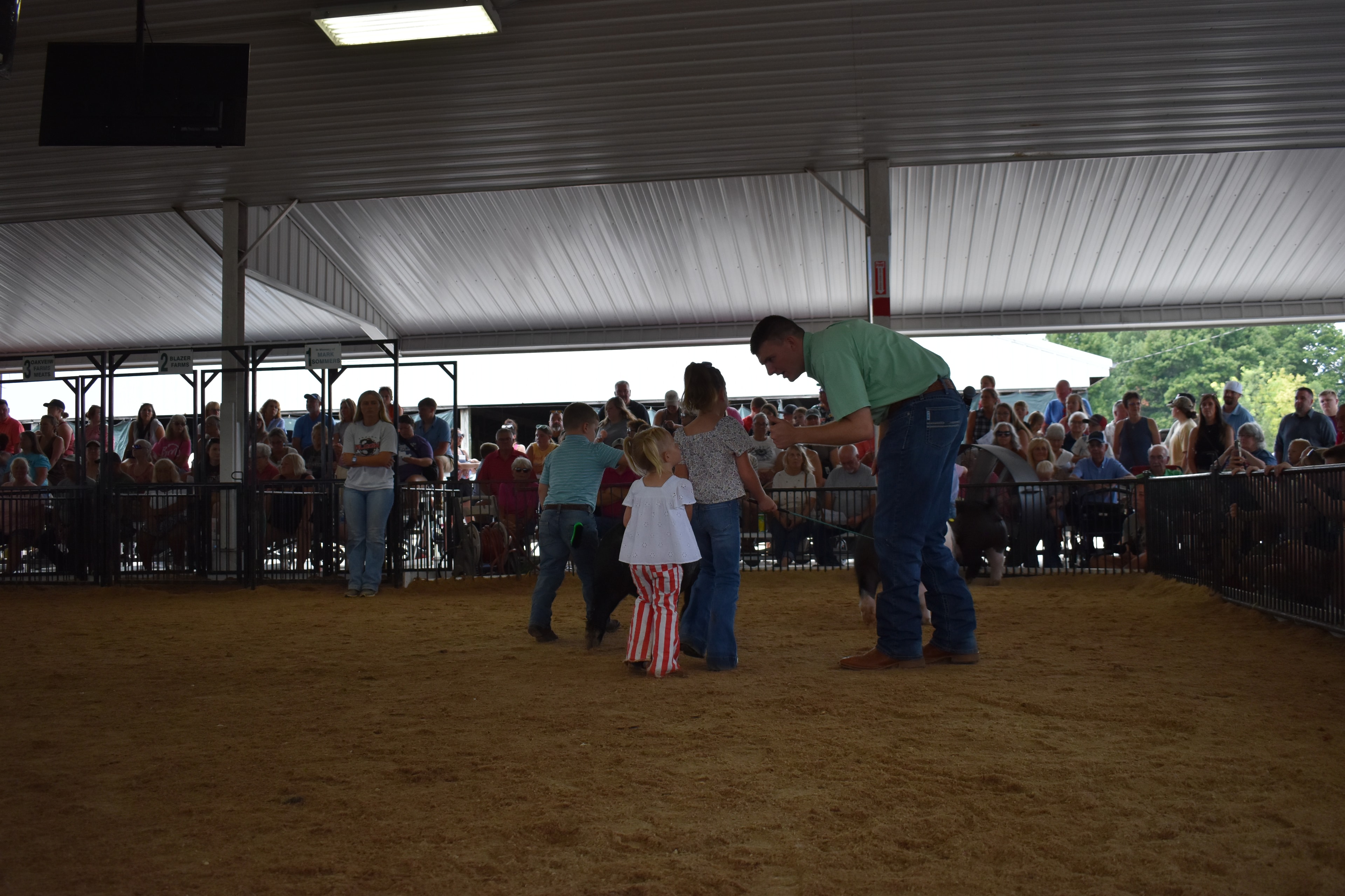 Older girl in floral top smiling while steering large black-and-white Hampshire cross pig with tiny toddler in red-striped pants alongside and another Hampshire cross pig at right with packed crowd in pens 9–12 behind at Champaign County Fair