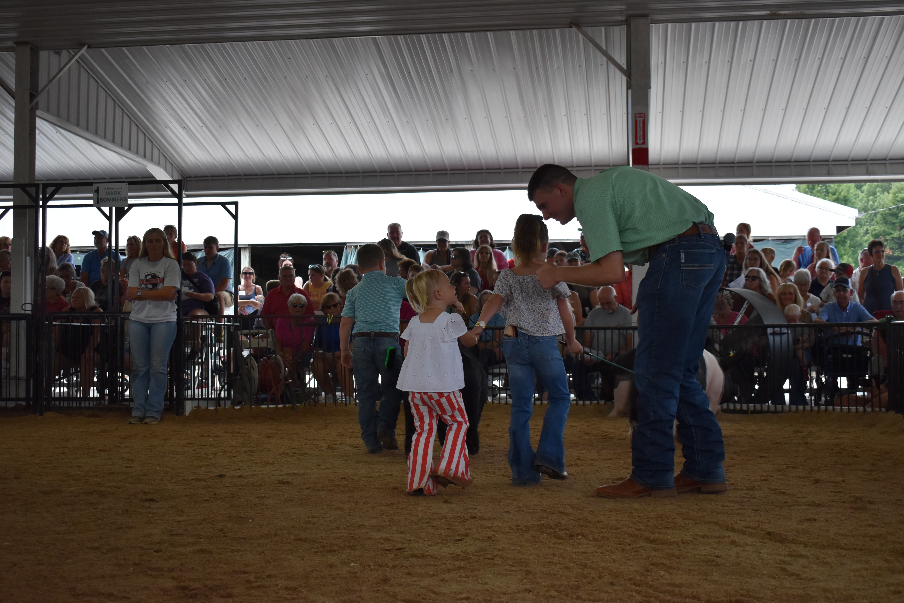 Small boy in pink polo shirt nearly hidden behind massive black-and-white Hampshire cross pig with Pork Council Women pen 6 and Show Pigs pen 4–5 and packed crowd of spectators behind at Champaign County Fair