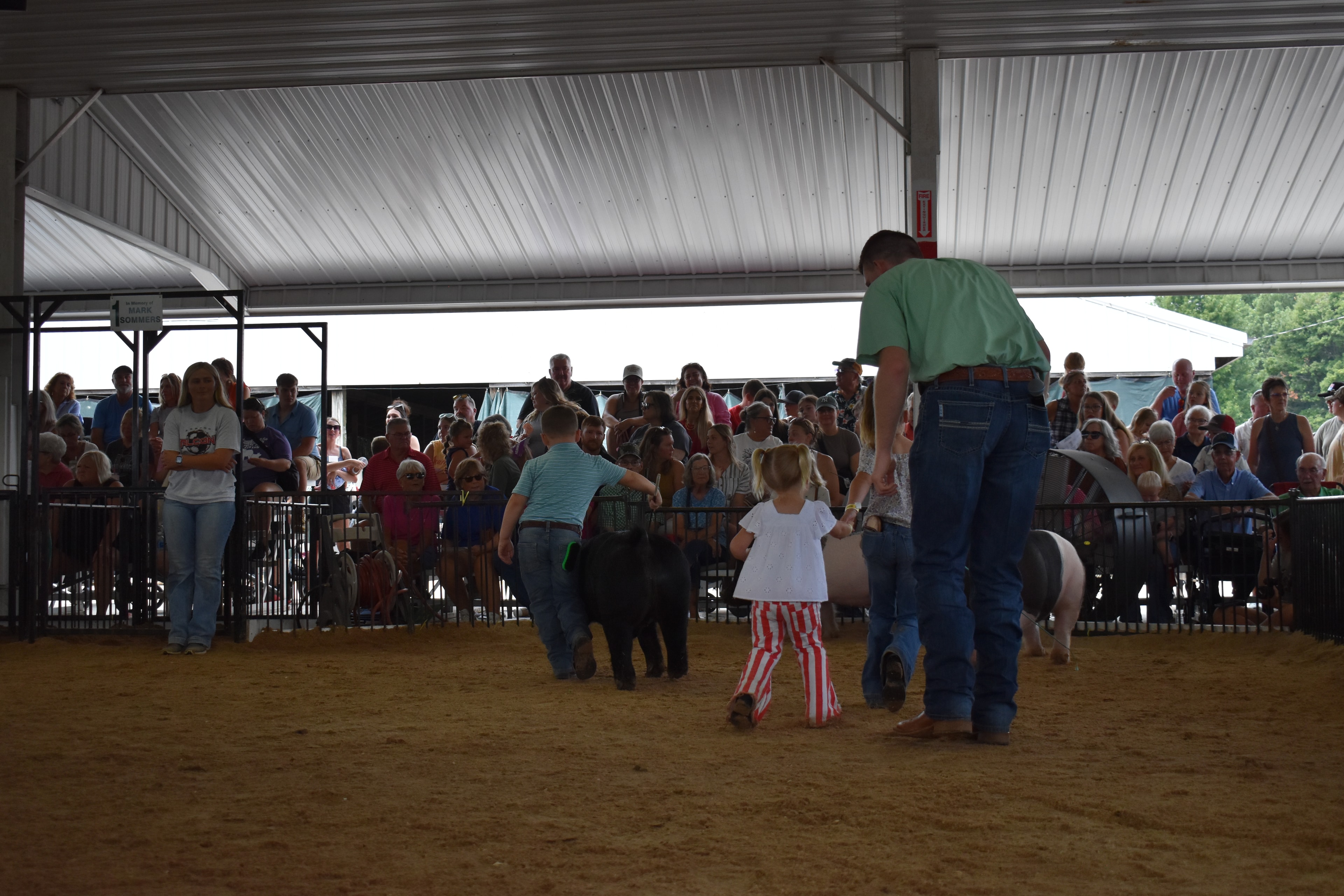 Girl in Falcons t-shirt steering black-and-white Hampshire cross pig while judge in green shirt bends toward small boy near Blazer Farms pen 2 and Mark Sommers pen 1 with packed crowd behind at Champaign County Fair