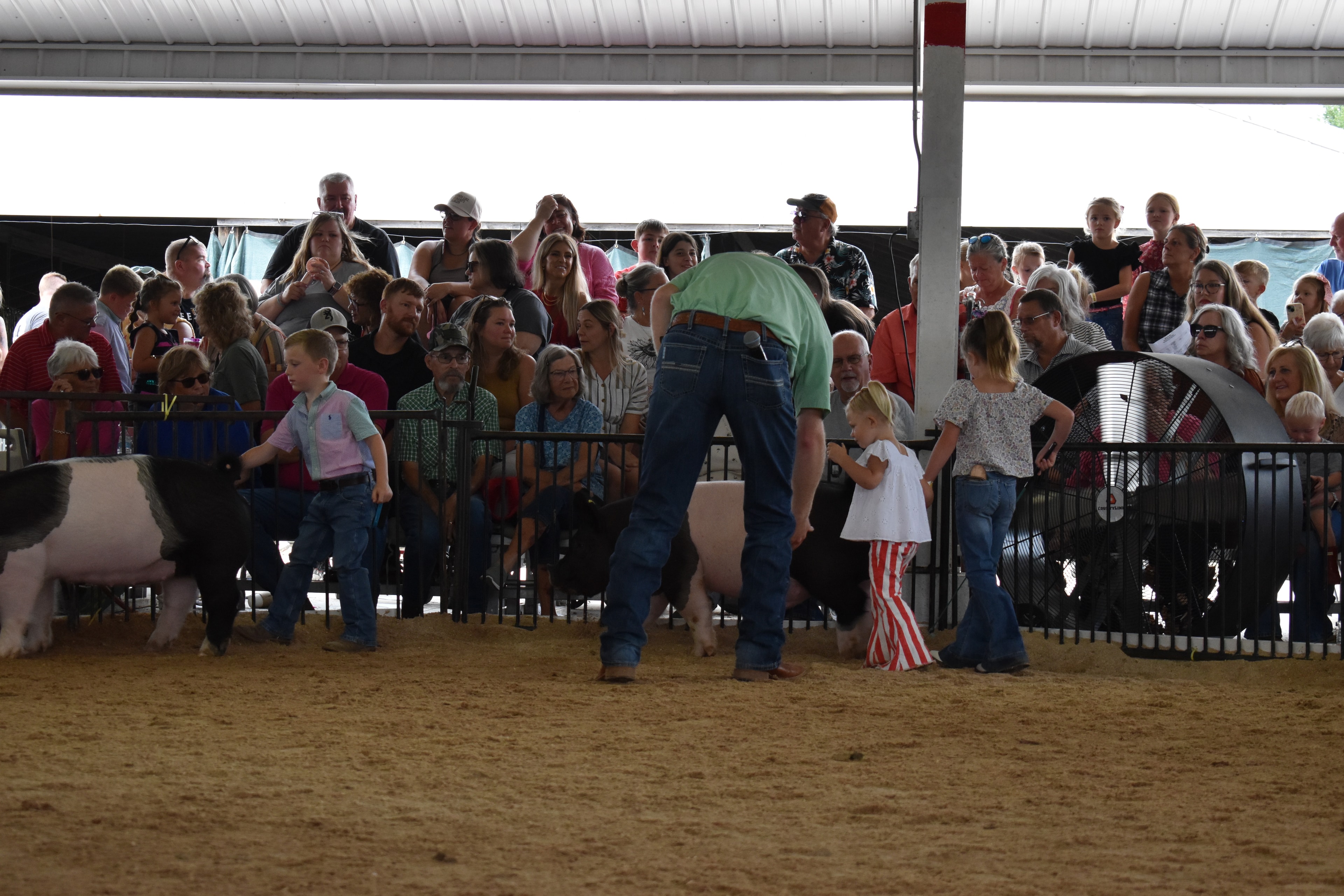 Close-up of judge in green shirt bending down to help small boy in teal striped polo shirt steer black pig with Mark IV Farm pen 9 and Pork Council Women pen 6 and packed crowd of spectators filming on phones behind at Champaign County Fair