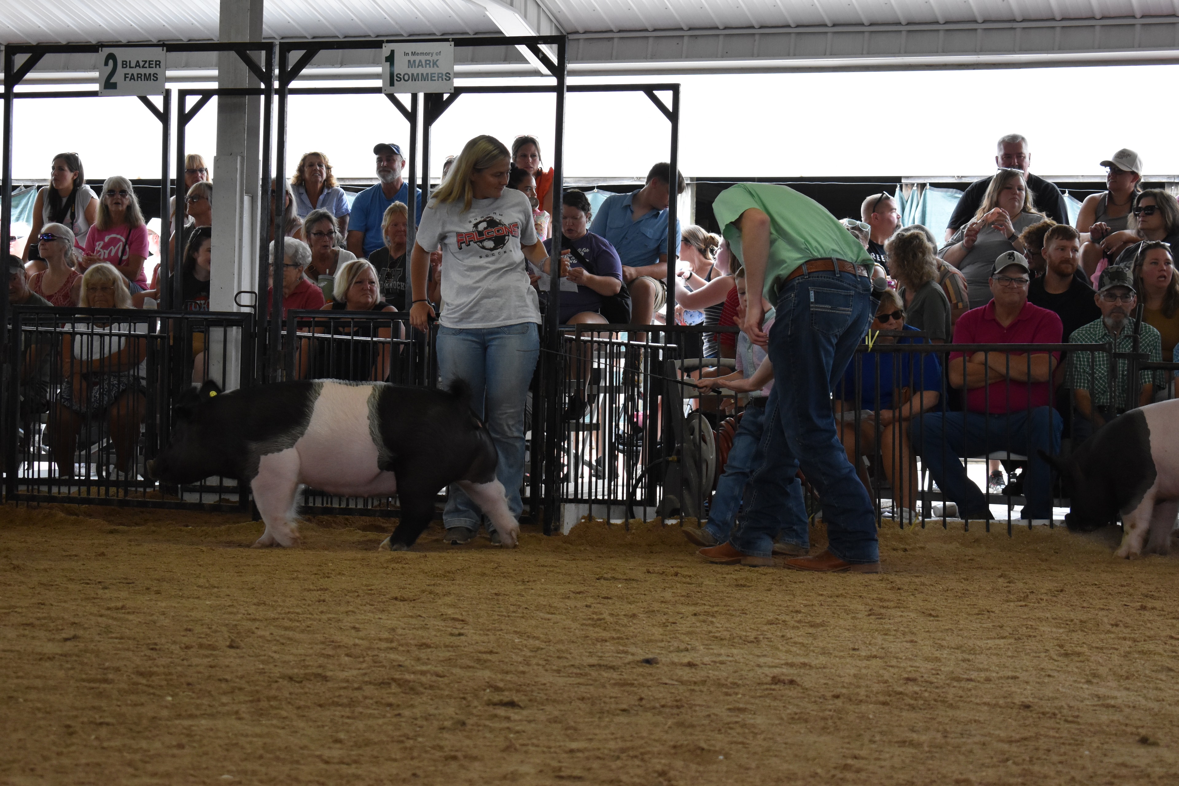 Wide arena shot with boy in blue shirt steering large pink Yorkshire pig in foreground and black-and-white Hampshire cross pig with judge in green shirt and small boy in teal polo in background with Pork Council Women pen 6 and packed crowd behind at Champaign County Fair