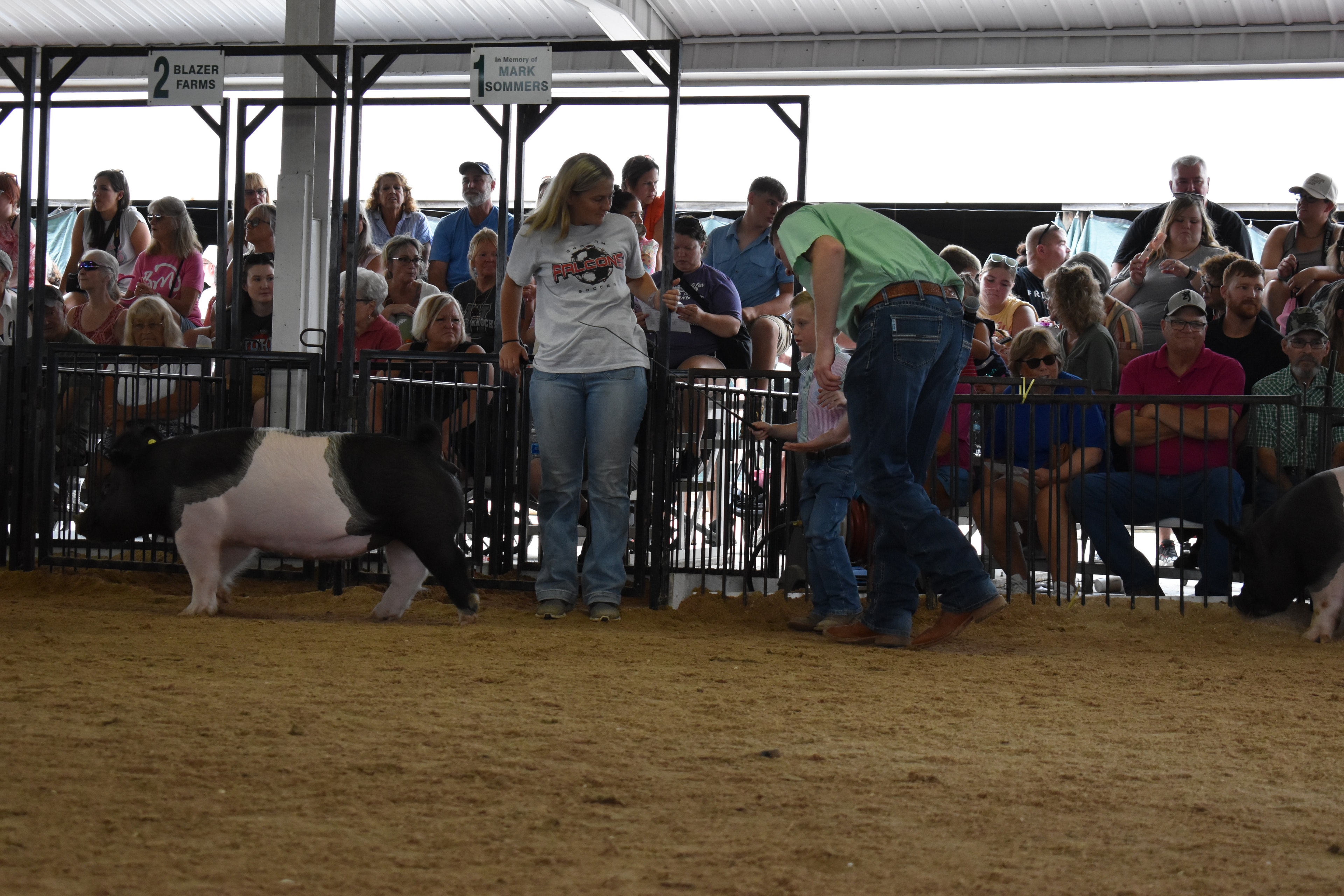 Wide back-of-arena shot with judge in green shirt bending toward tiny girl in red-striped pants and boy in teal polo steering black pig while girl in floral shirt assists near Mark Sommers pen 1 with packed crowd behind at Champaign County Fair