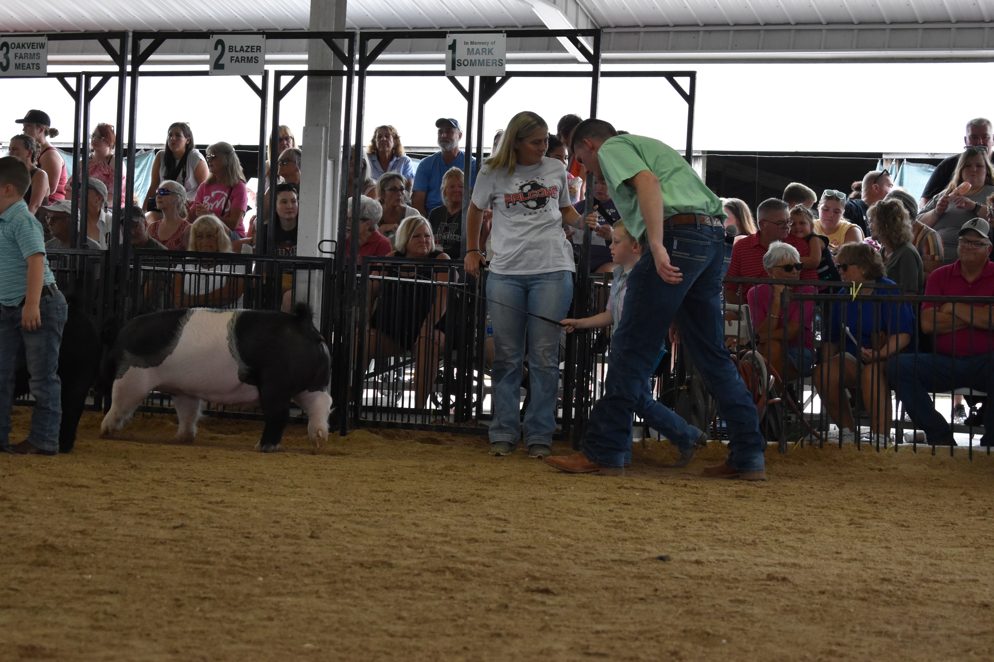 Wide arena shot with judge in green shirt bending toward tiny girl in red-striped pants and boy in pink polo shirt near black-and-white Hampshire cross pig while girl in floral shirt assists with packed crowd behind at Champaign County Fair