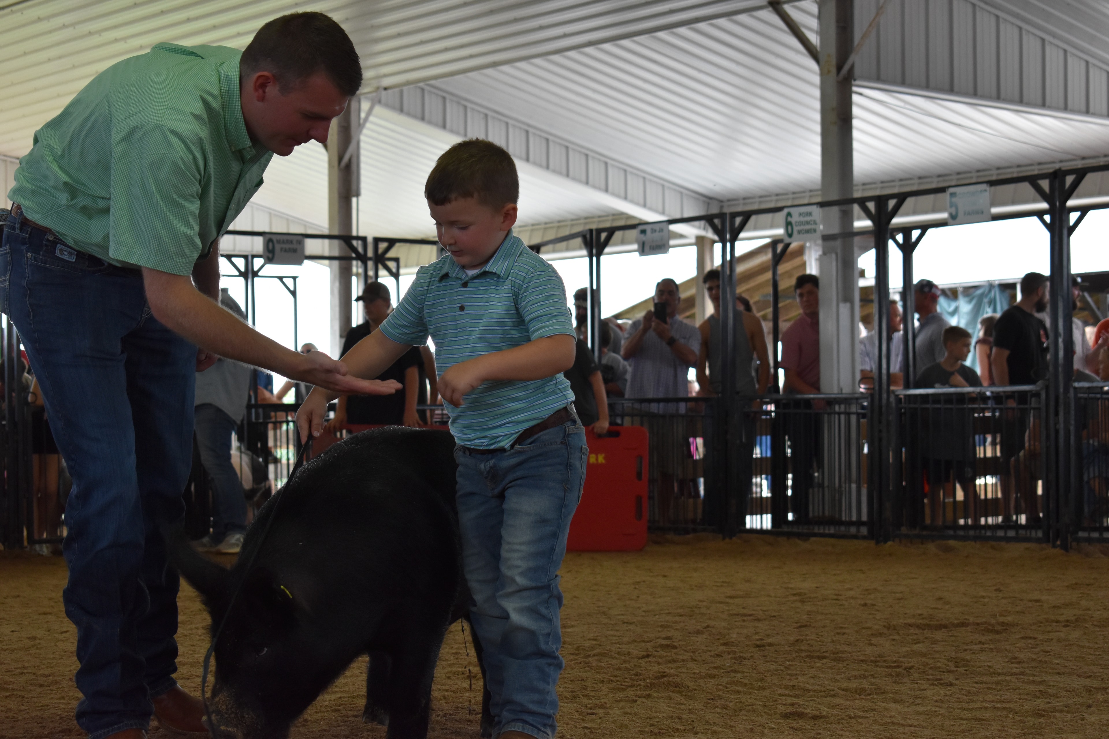 Wide arena shot with judge in green shirt bending toward tiny girl in red-striped pants and boy in pink polo near black-and-white Hampshire cross pig while girl in floral shirt assists with packed crowd and cooling fan behind at Champaign County Fair