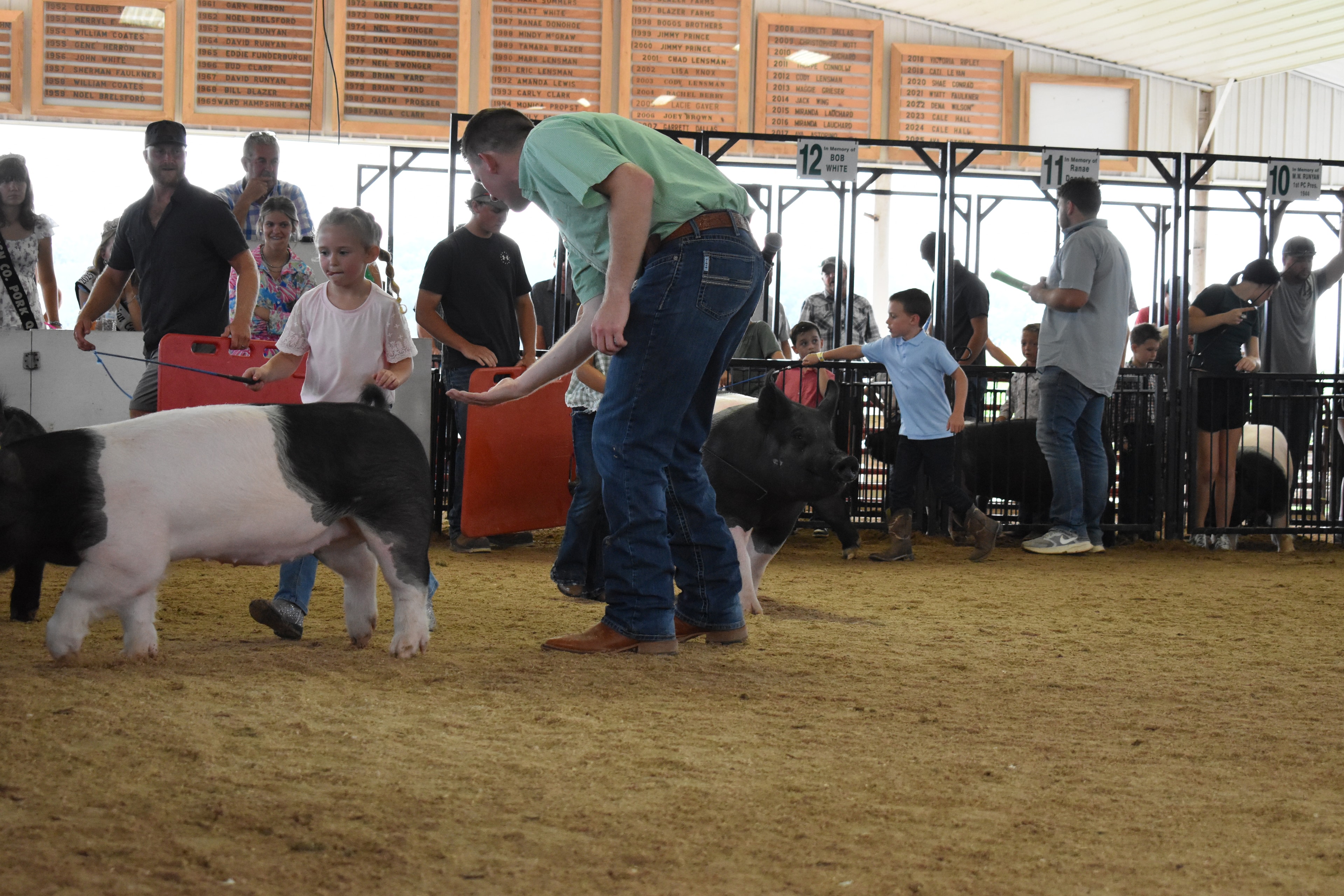 Wide arena shot with girl in green gingham top steering large black-and-white Hampshire cross pig head-on toward camera with judge in green shirt walking behind and boy in light blue polo steering black pig at left with Yoder Farms pens 12–13 and past champions boards behind at Champaign County Fair