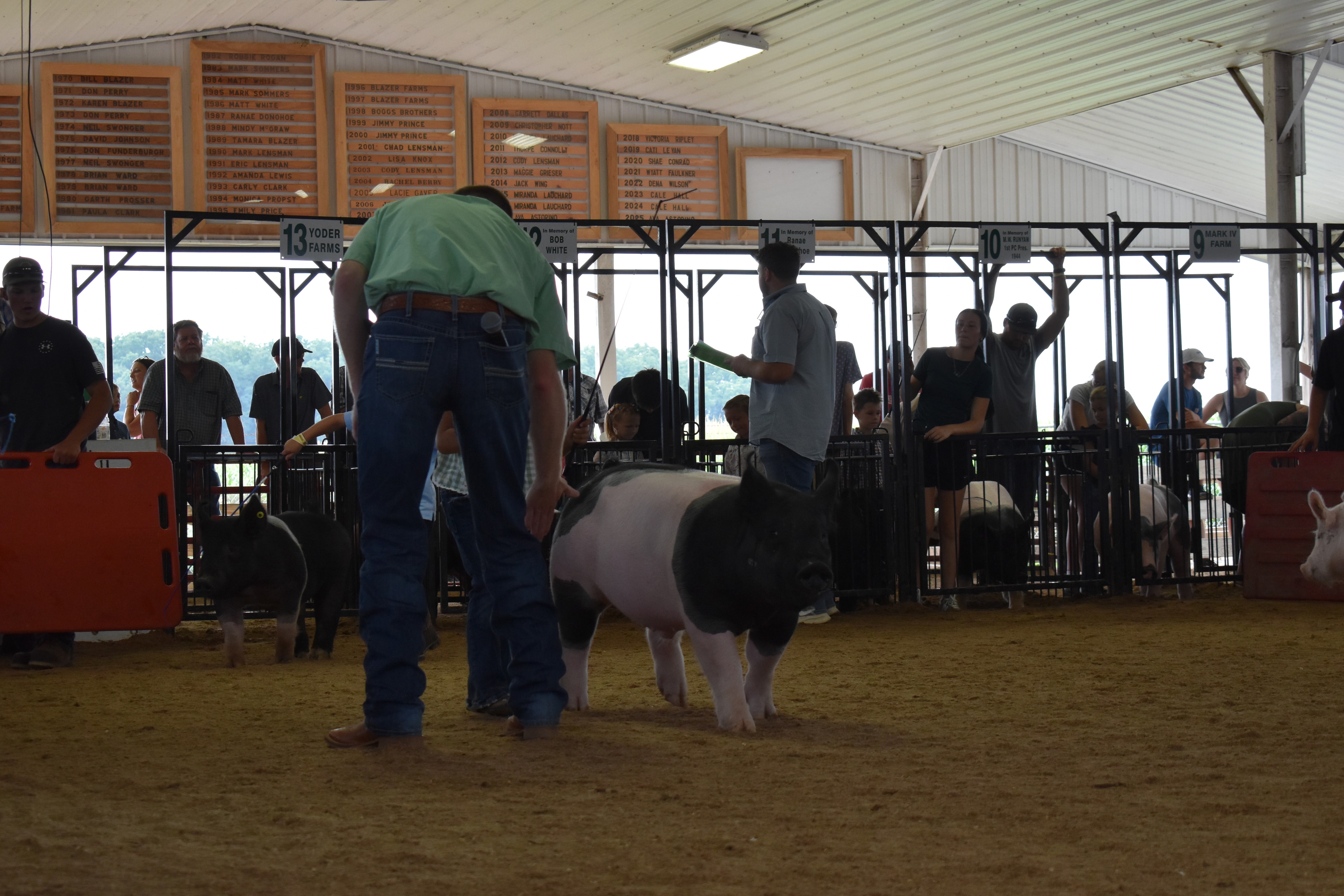 Girl in green gingham top steering large black-and-white Hampshire cross pig head-on toward camera with judge in green shirt bending toward her and boy in light blue polo at left with Yoder Farms pen 13 and past champions boards behind at Champaign County Fair