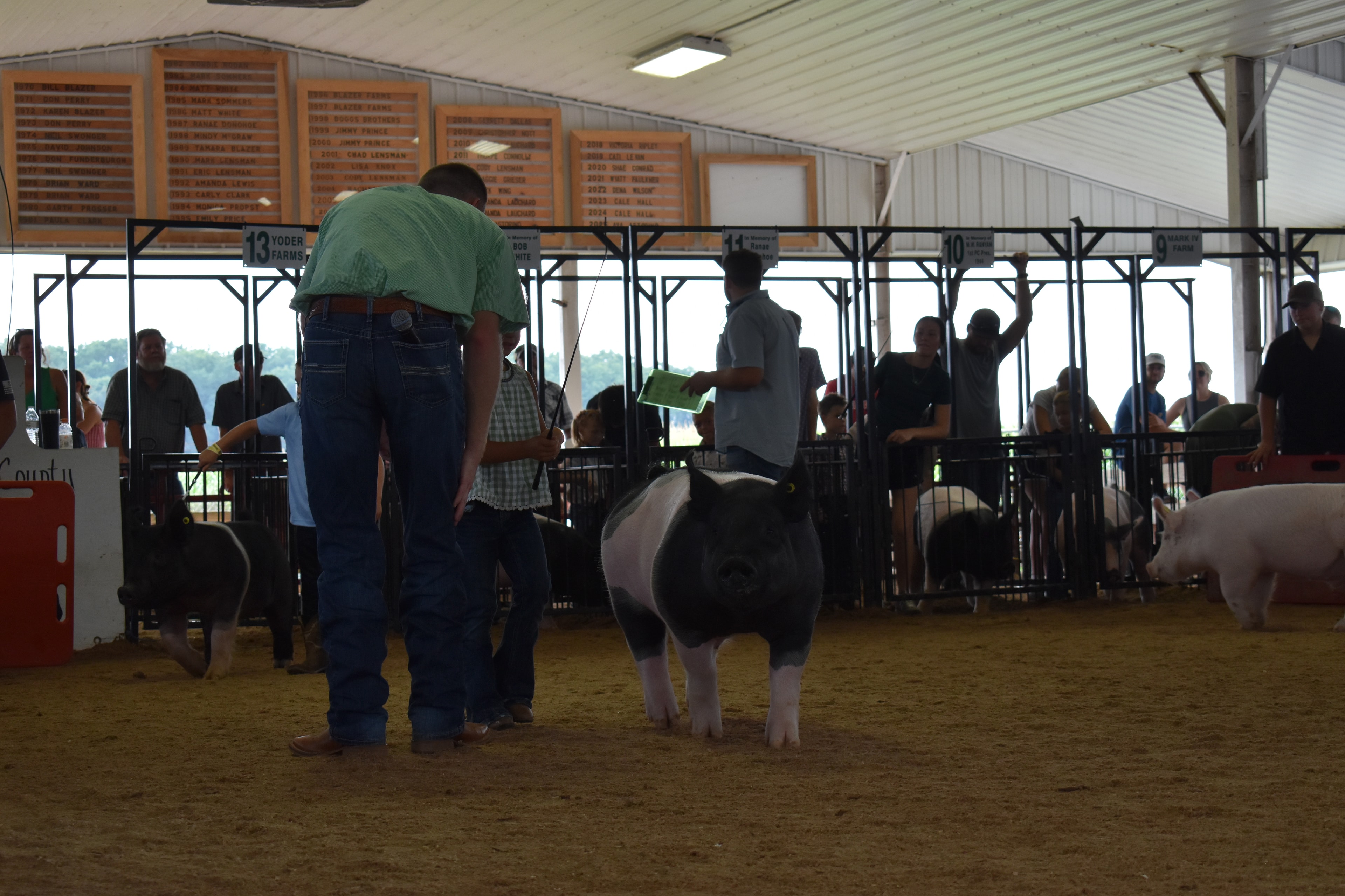 Girl in green gingham top steering large black-and-white Hampshire cross pig head-on toward camera with judge in green shirt bending toward her and boy in light blue polo at left with Yoder Farms pen 13 and past champions boards behind at Champaign County Fair