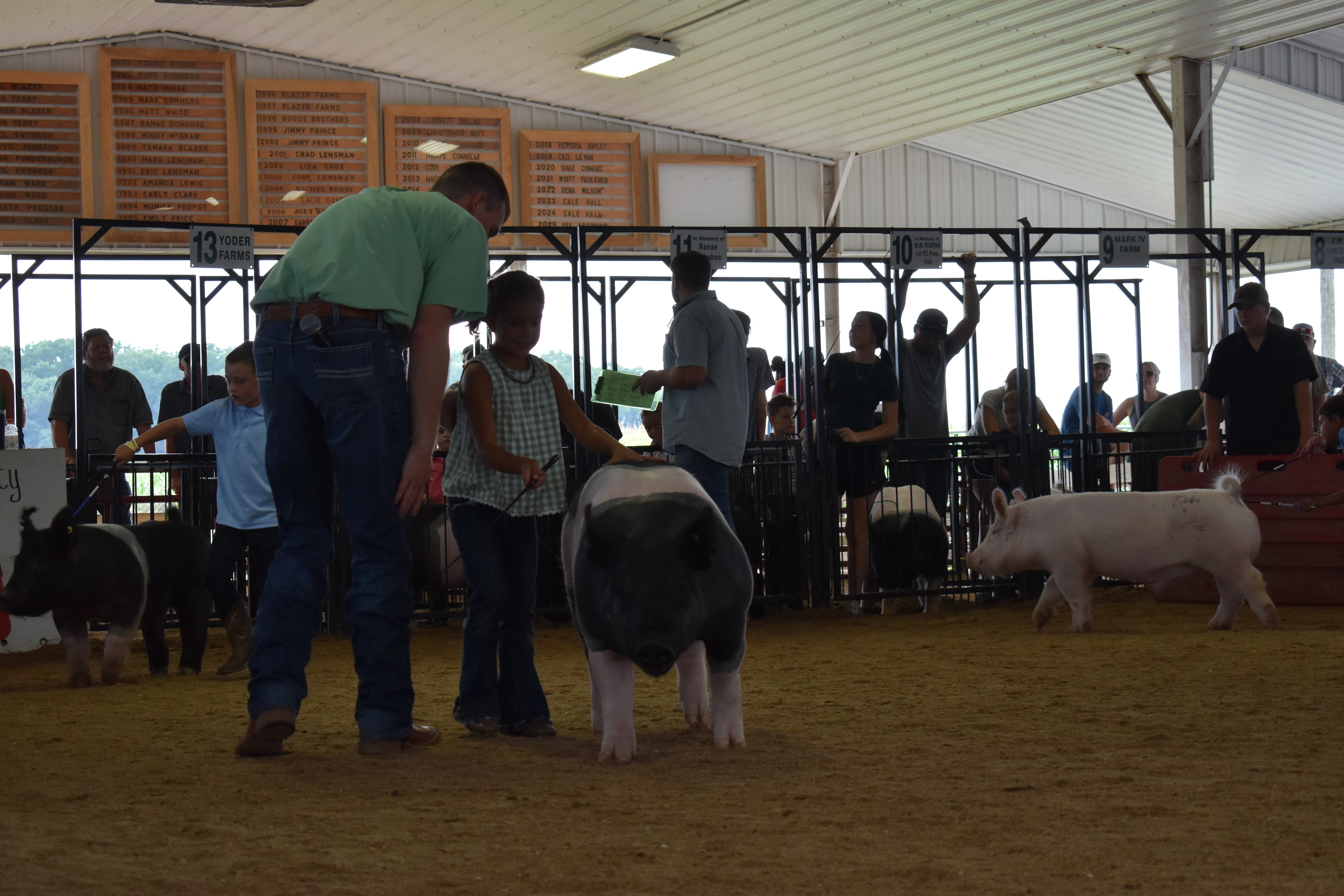 Wide arena shot with judge in green shirt bending toward girl in green gingham top and her large black-and-white Hampshire cross pig with boy in light blue polo at left and Champaign County Pork sign and Yoder Farms pens 12–13 and past champions boards behind at Champaign County Fair