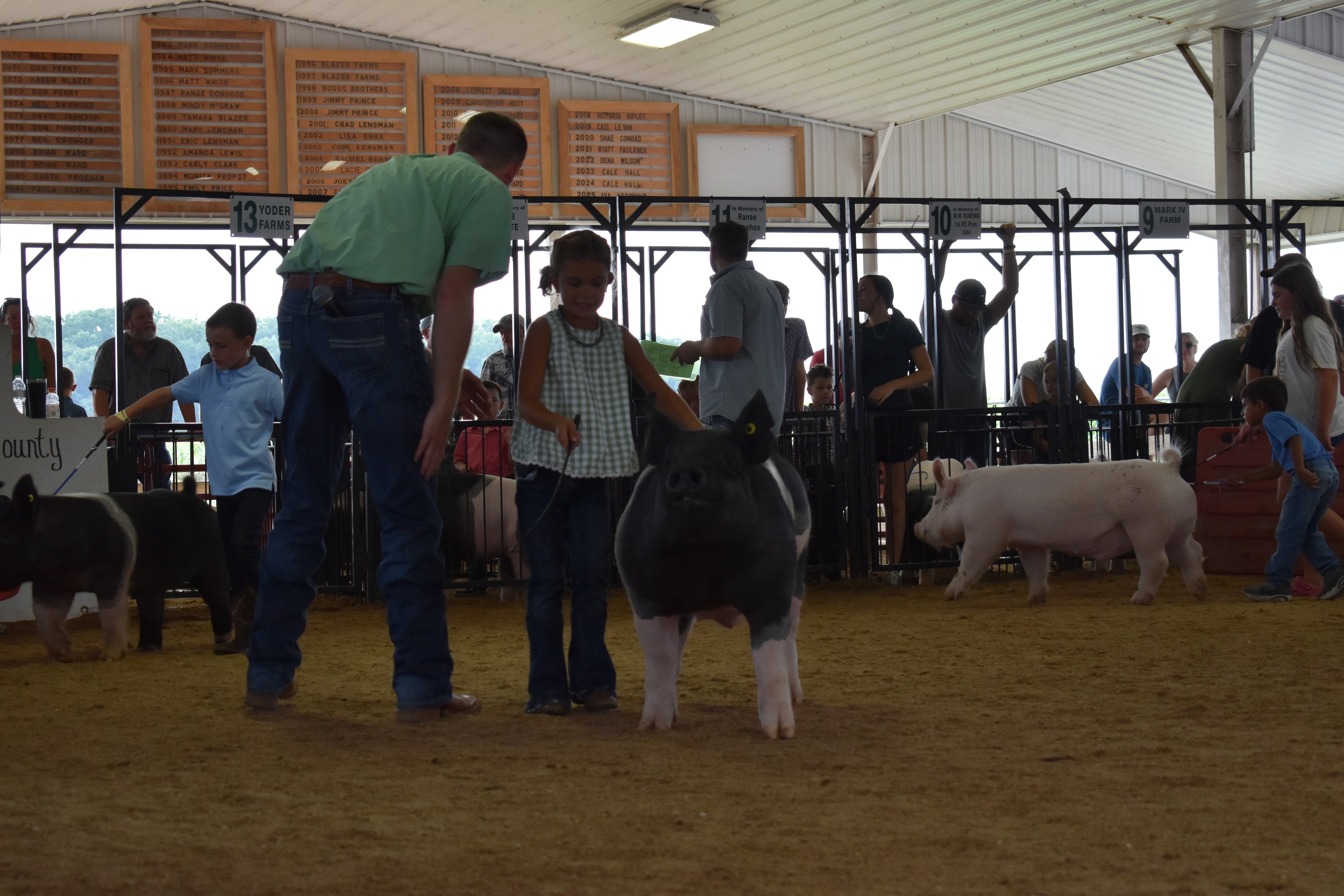 Wide arena shot with judge in green shirt bending toward girl in green gingham top and her large black-and-white Hampshire cross pig with boy in light blue polo at left and Champaign County Pork sign and Yoder Farms pens 12–13 and past champions boards behind at Champaign County Fair