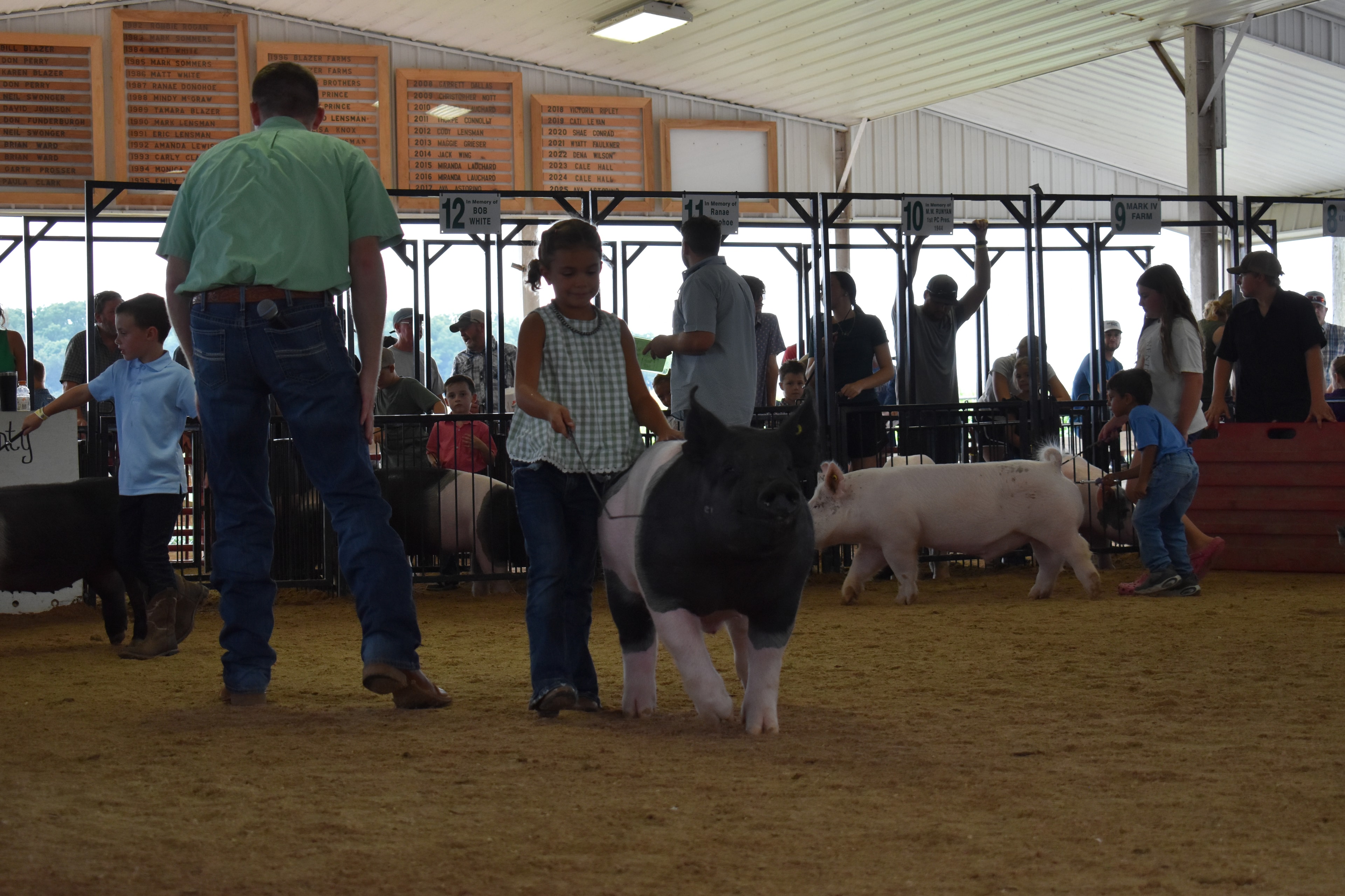 Wide arena shot with girl in green gingham top steering large black-and-white Hampshire cross pig head-on toward camera with judge in green shirt and boy in light blue polo at left and multiple exhibitors and Yoder Farms pens 12–13 and past champions boards behind at Champaign County Fair