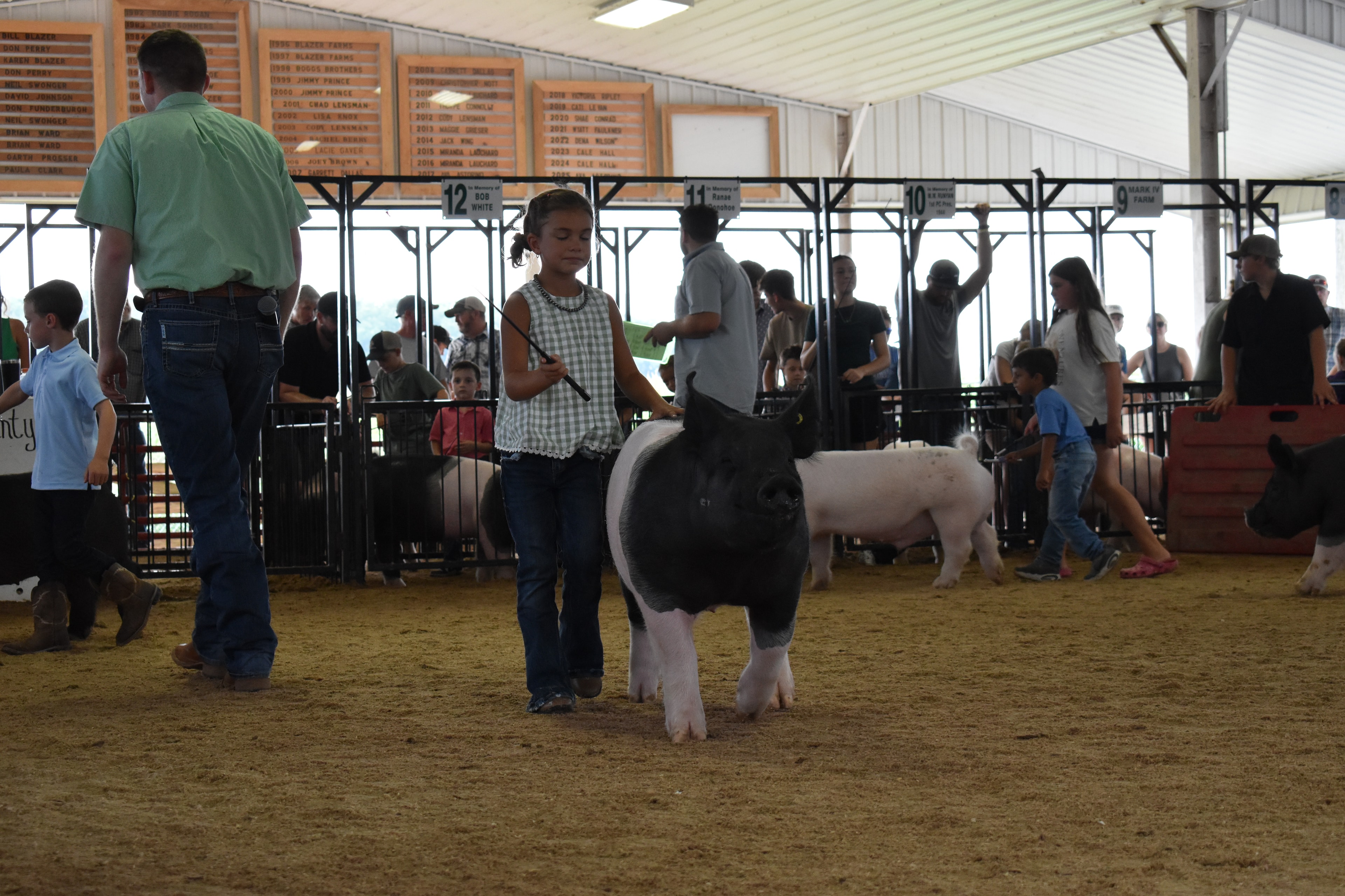 Judge in green shirt bending toward small girl in pink shirt steering black-and-white Hampshire cross pig while older boy in green shirt assists with packed crowd and Champaign County Pork sign and Bob White pen 12 behind at Champaign County Fair
