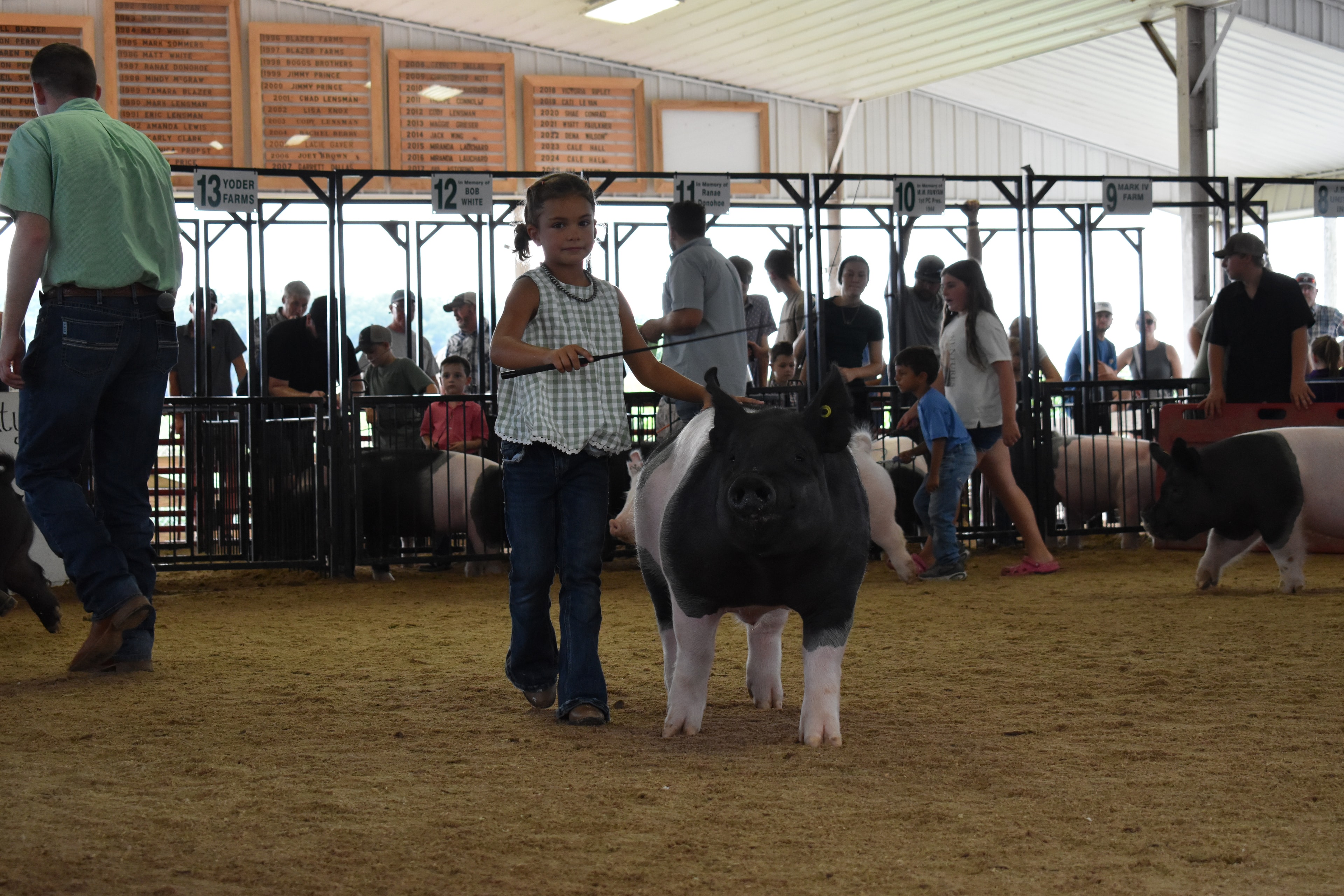 Judge in green shirt standing with back to camera bending toward black-and-white Hampshire cross pig with Yoder Farms pen 13 and Bob White pen 12 and past champions boards behind and white Yorkshire pig at right at Champaign County Fair