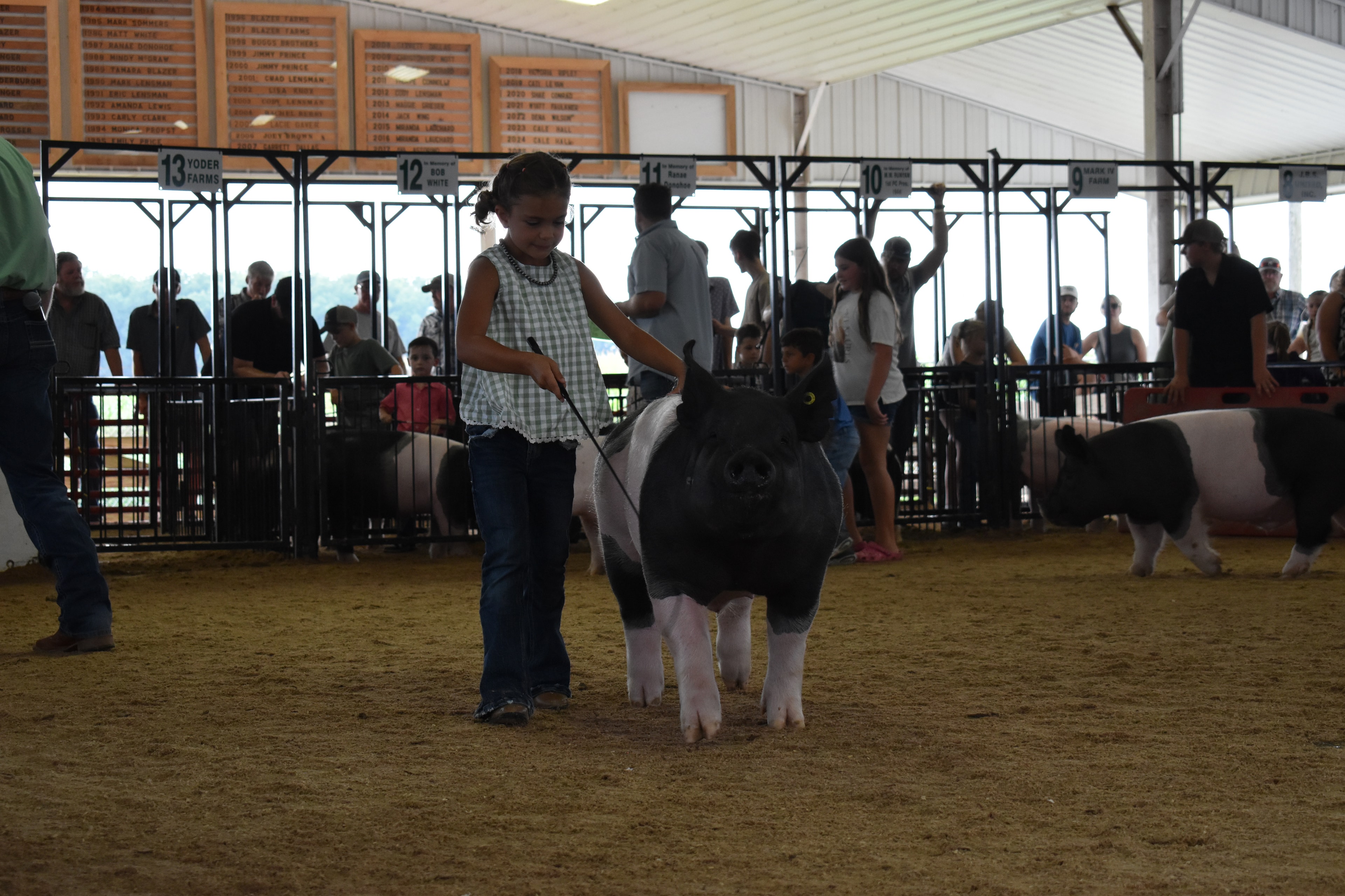 Judge in green shirt standing with back to camera bending toward black-and-white Hampshire cross pig with Yoder Farms pen 13 and Bob White pen 12 and past champions boards behind and multiple exhibitors and pigs at Champaign County Fair