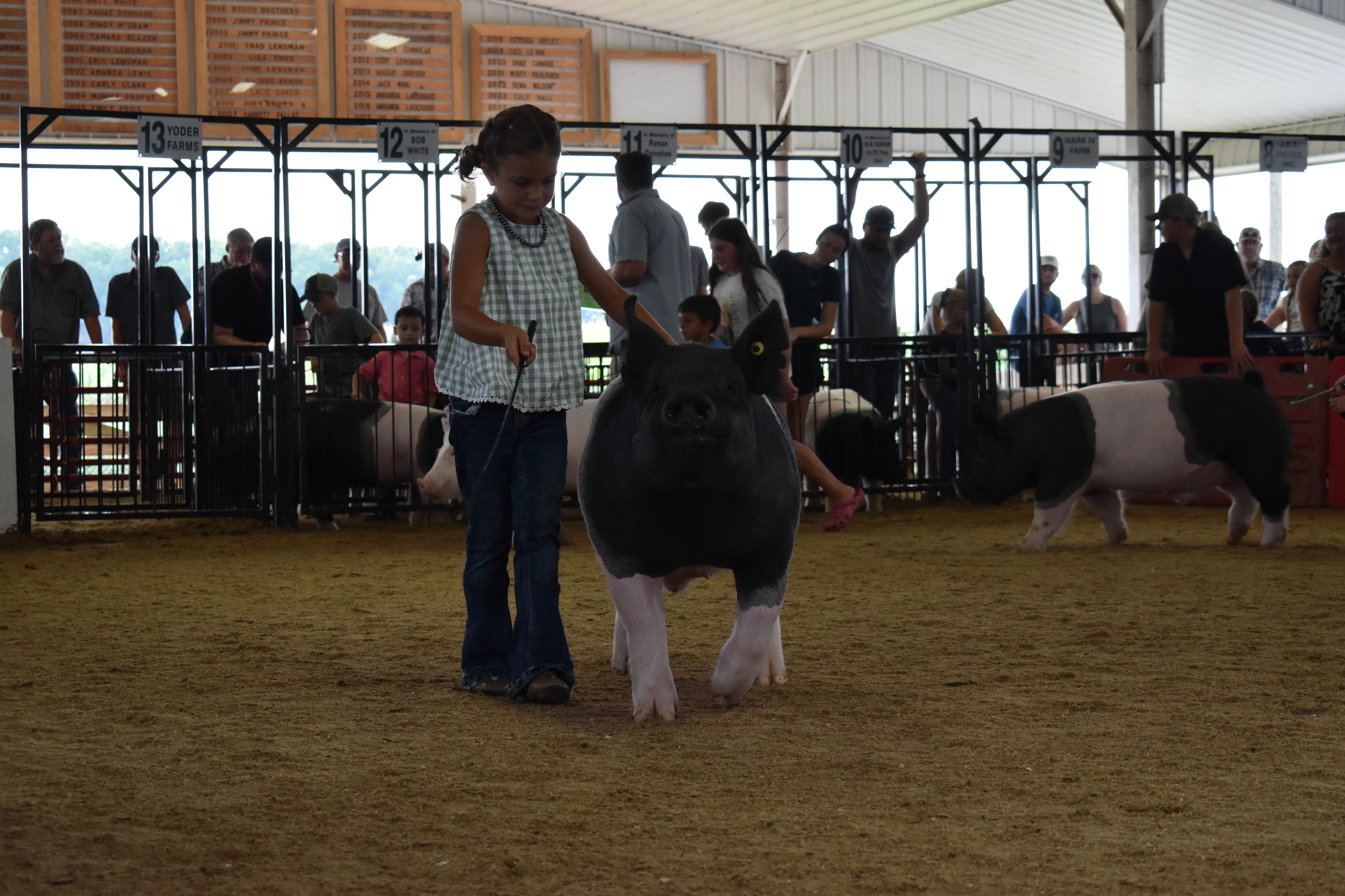 Wide arena shot with judge in green shirt bending toward girl in green gingham top and her large black-and-white Hampshire cross pig with boy in light blue polo at left and Champaign County Pork sign and Yoder Farms pens 12–13 and past champions boards behind at Champaign County Fair