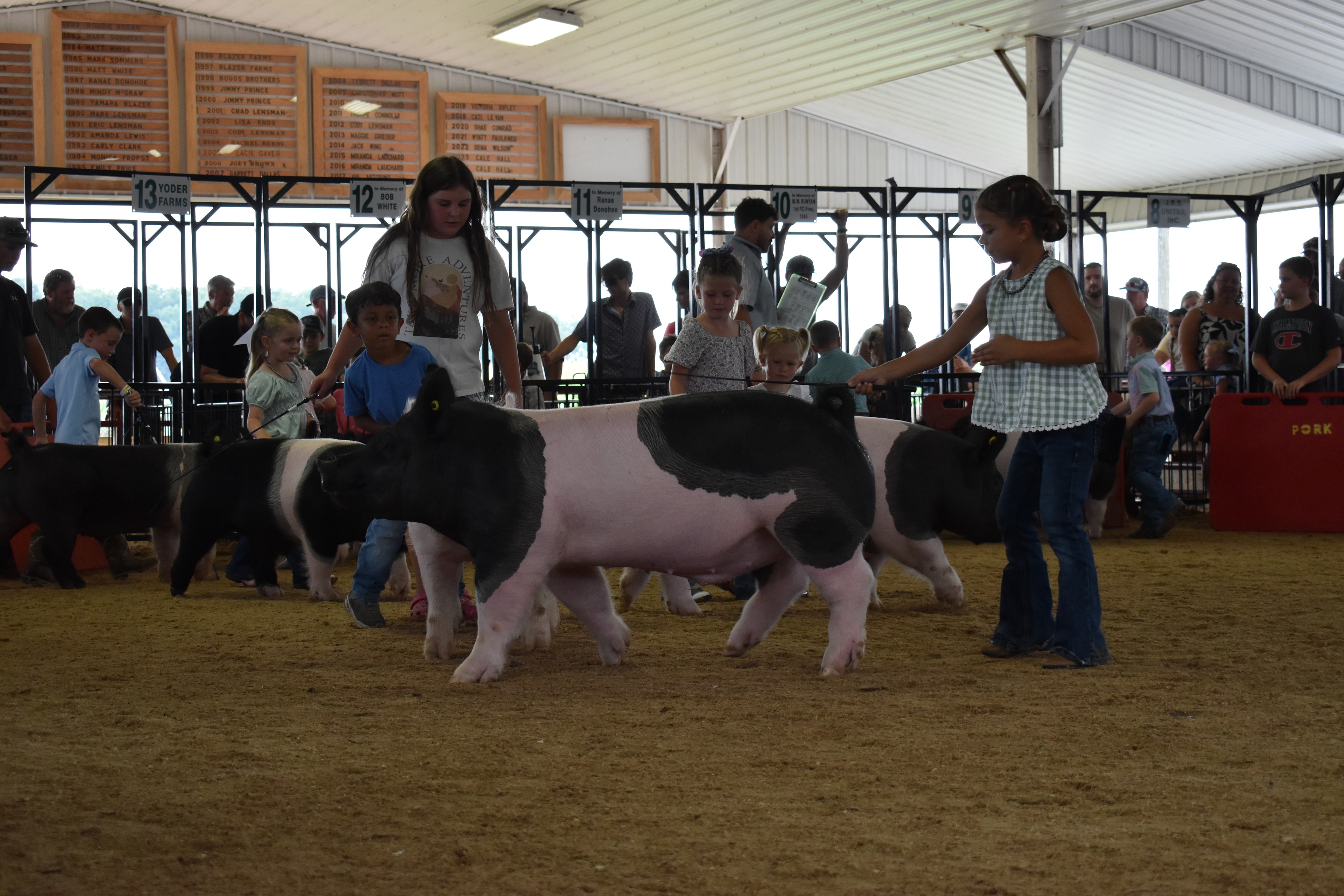 Girl in green gingham sleeveless top steering large black-and-white Hampshire cross pig head-on toward camera with show stick while white Yorkshire pig at left and tiny girl in red-striped pants and PORK barrel and packed crowd behind with Yoder Farms pen 13 and Bob White pen 12 and past champions boards at Champaign County Fair