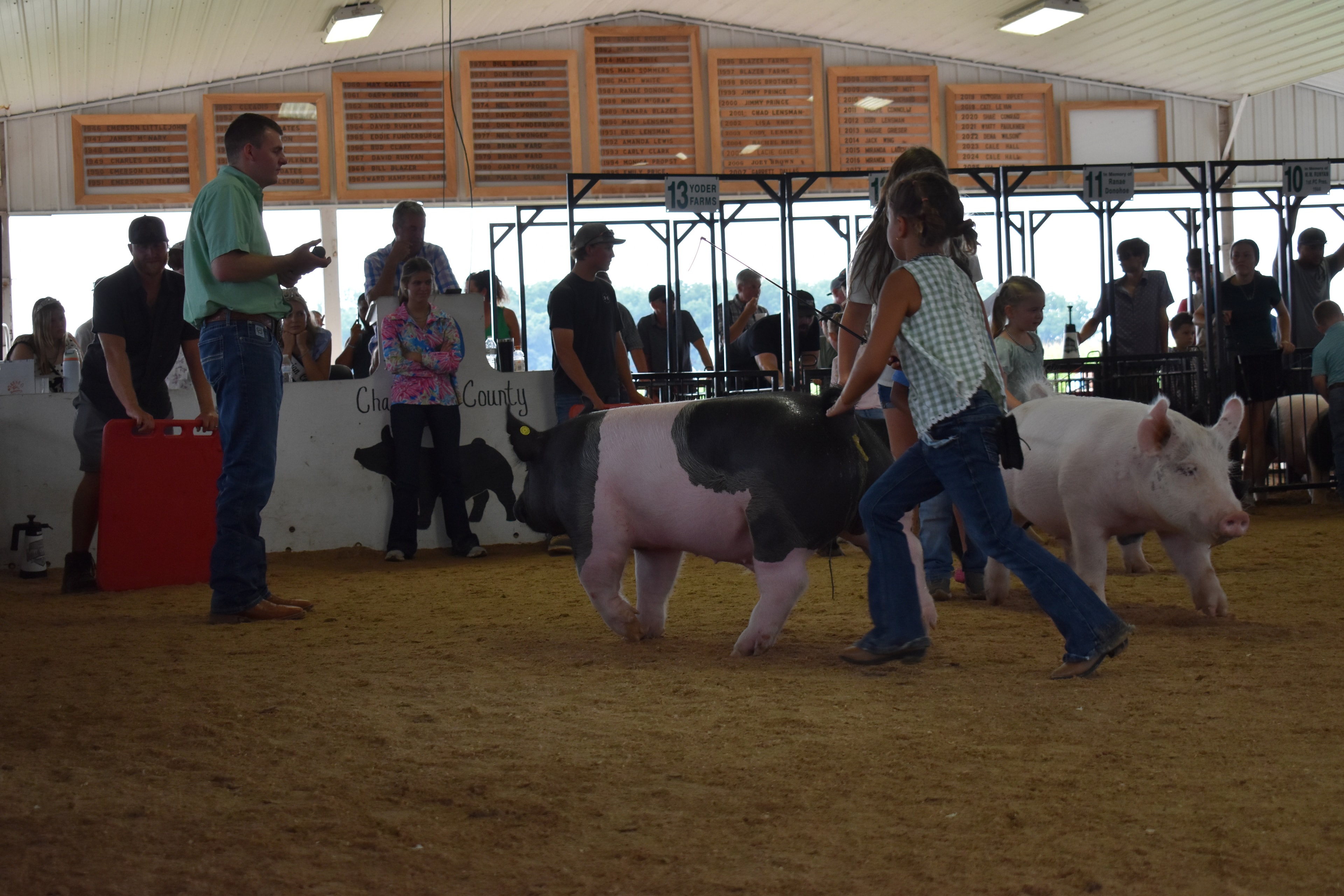 Girl in green gingham sleeveless top steering large black-and-white Hampshire cross pig head-on toward camera with show stick while white Yorkshire pig at left and tiny girl in red-striped pants and PORK barrel and packed crowd behind with Bob White pen 12 and Ranae Donohoe pen 11 and past champions boards at Champaign County Fair